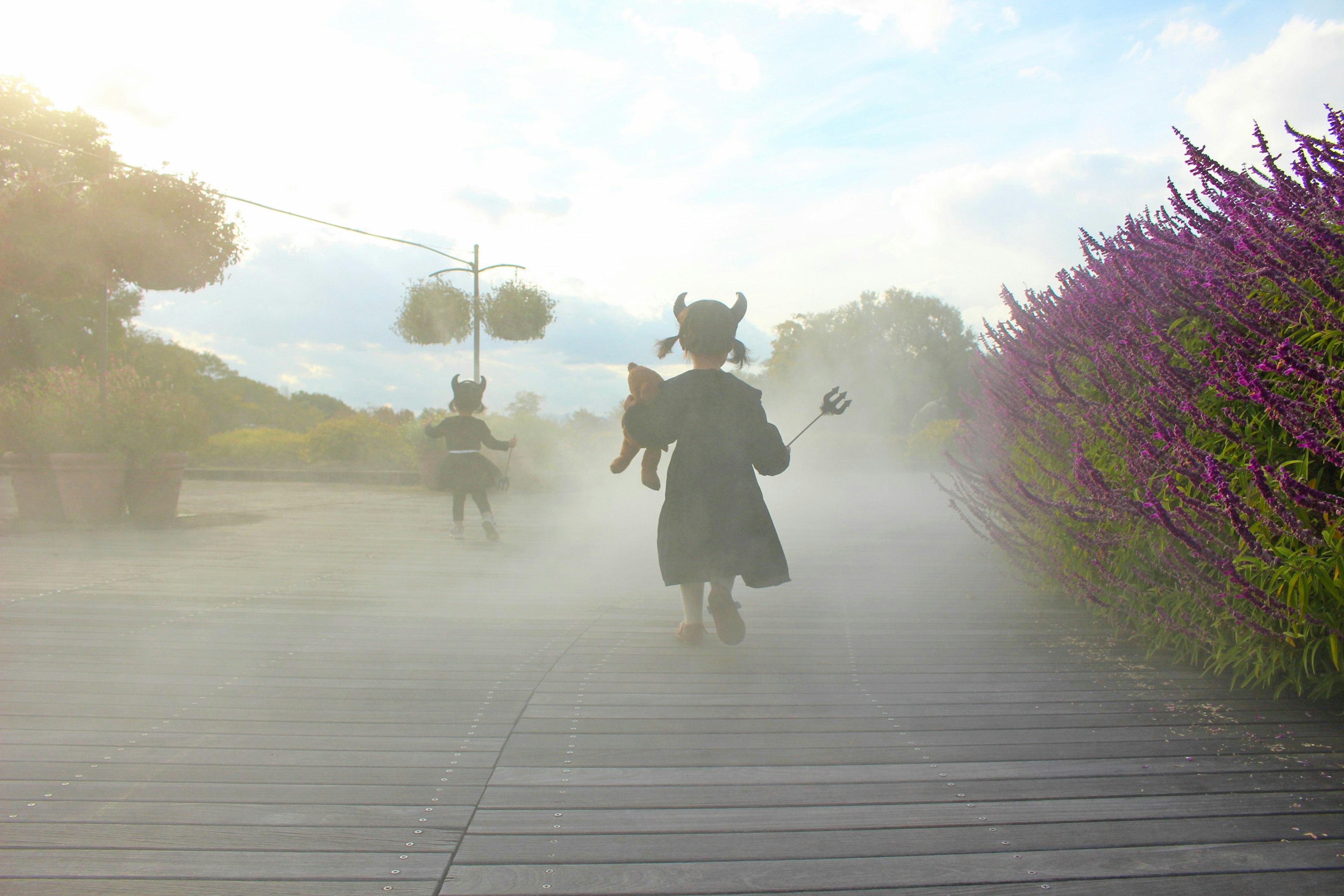 Niños corriendo en la niebla sosteniendo un gato con flores moradas de fondo