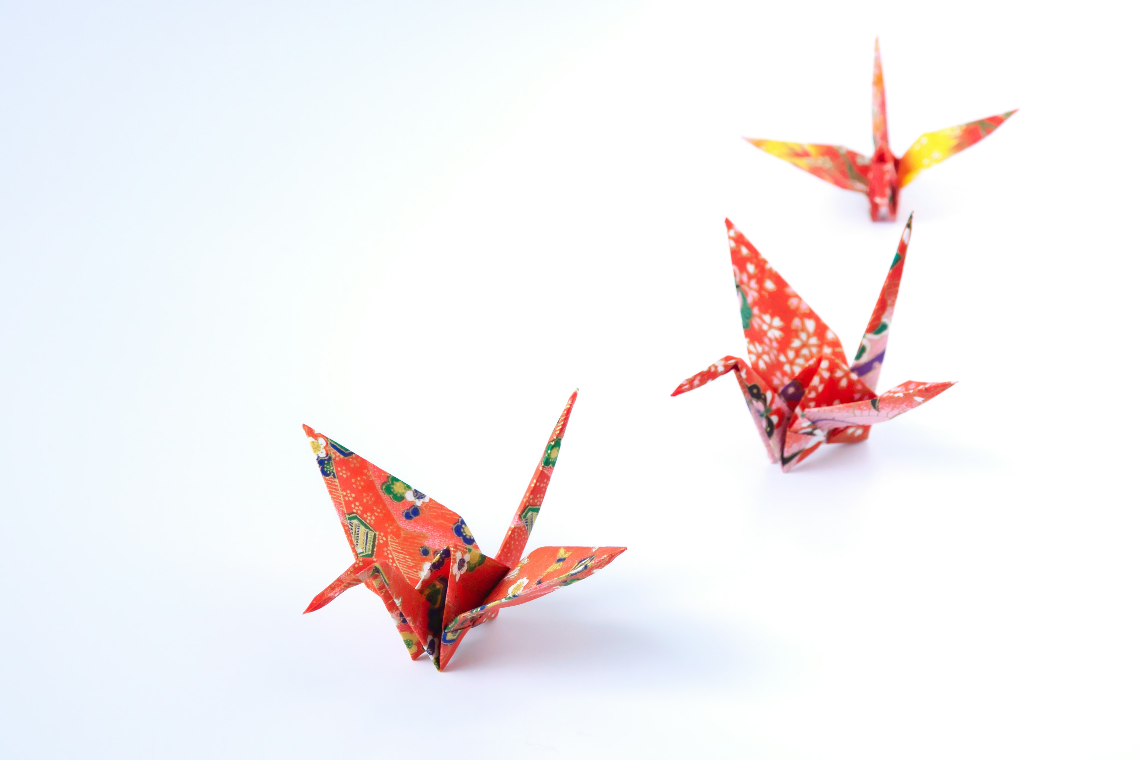 Colorful origami cranes arranged on a white background