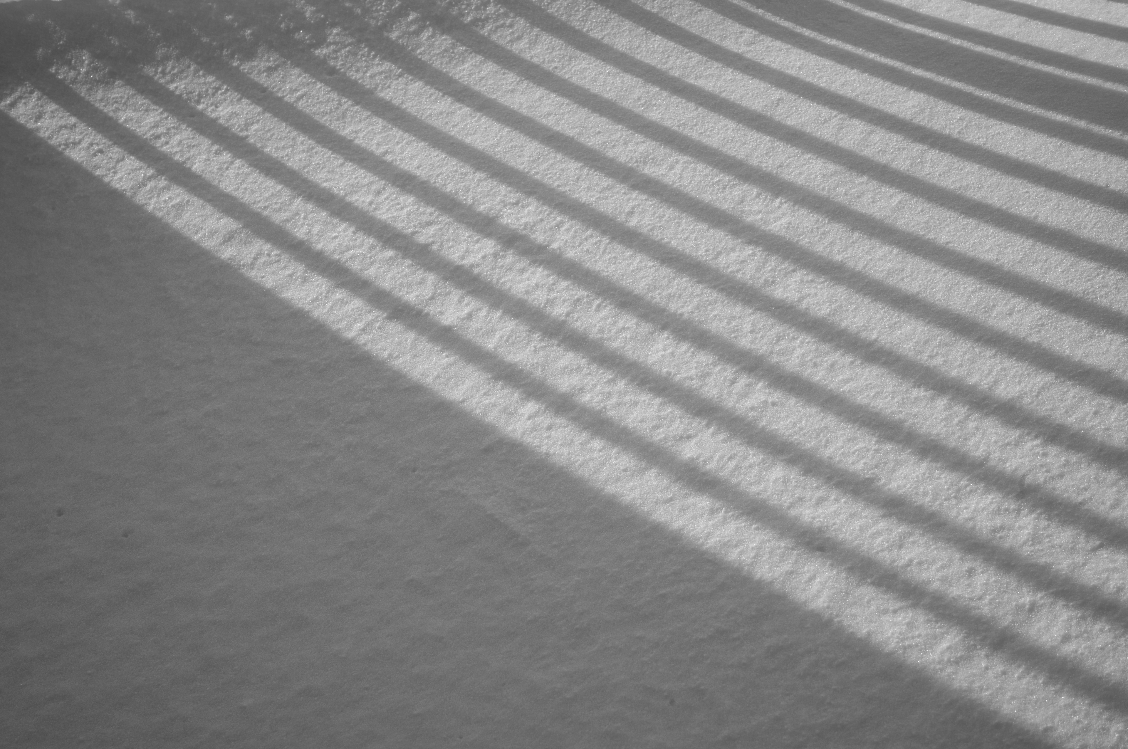 Motif rayé noir et blanc impressionnant sur une surface sablonneuse