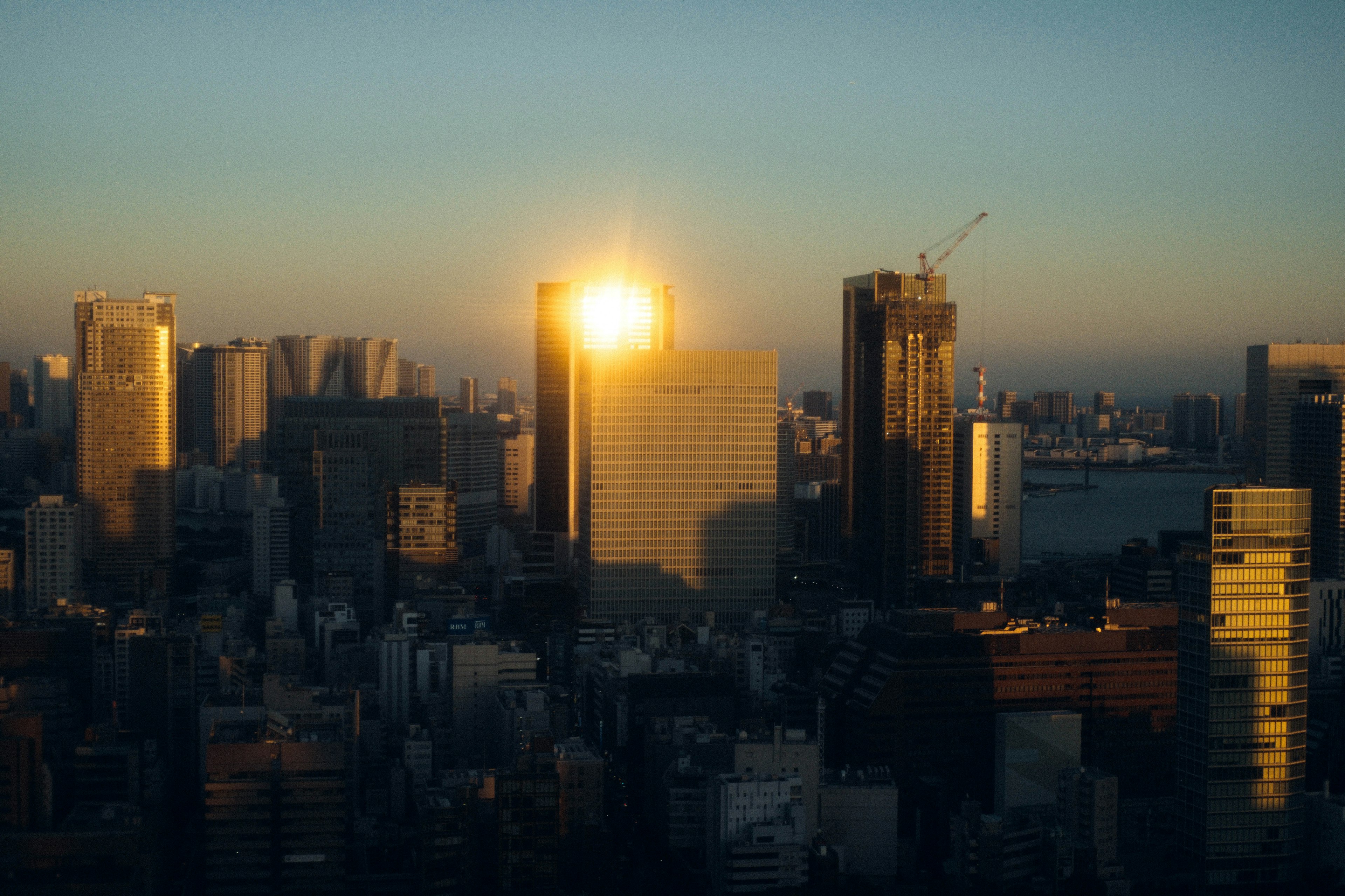 Tokyo skyscrapers illuminated by sunset