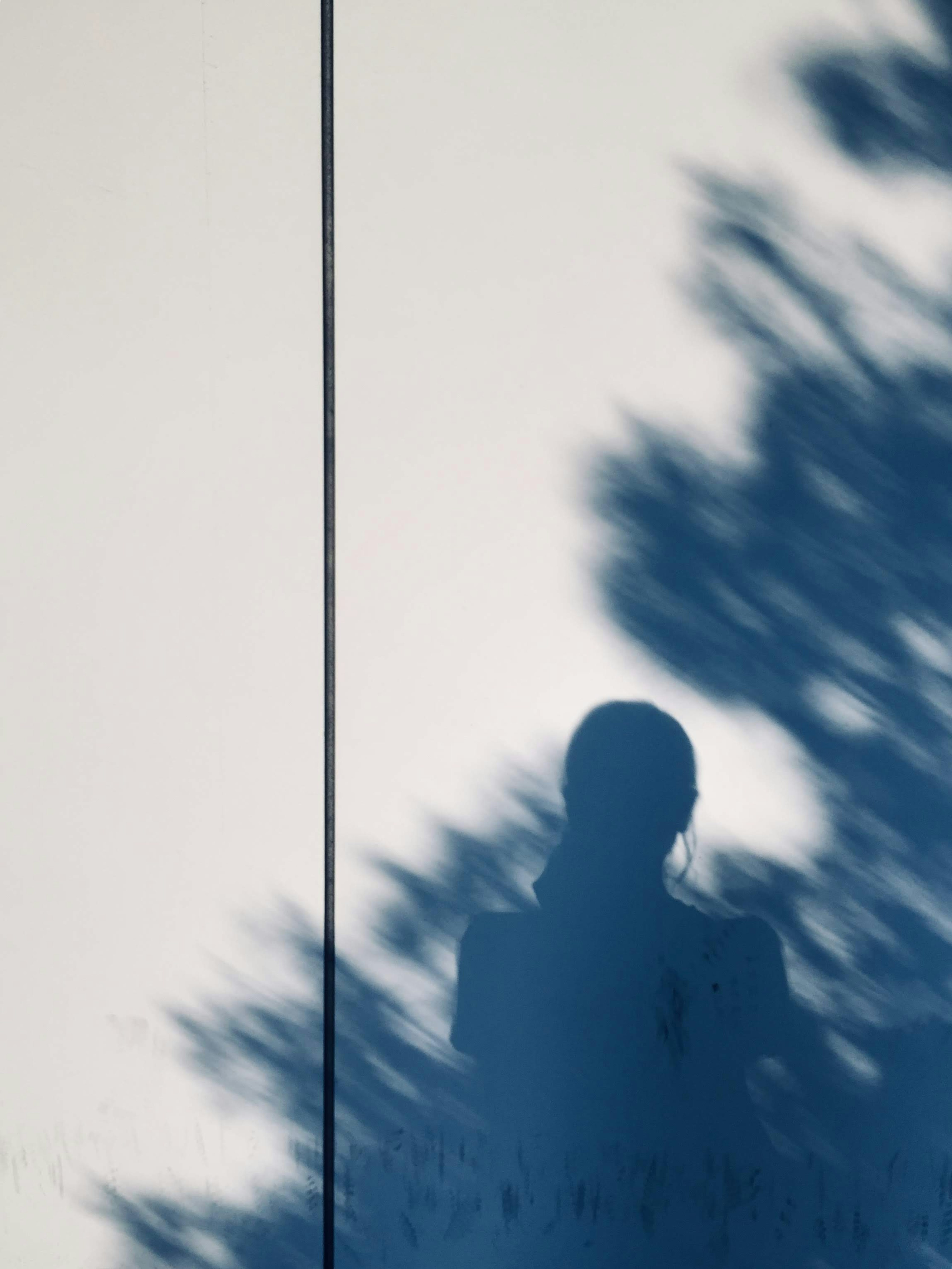 Silhouette of a person cast on a white wall by shadows