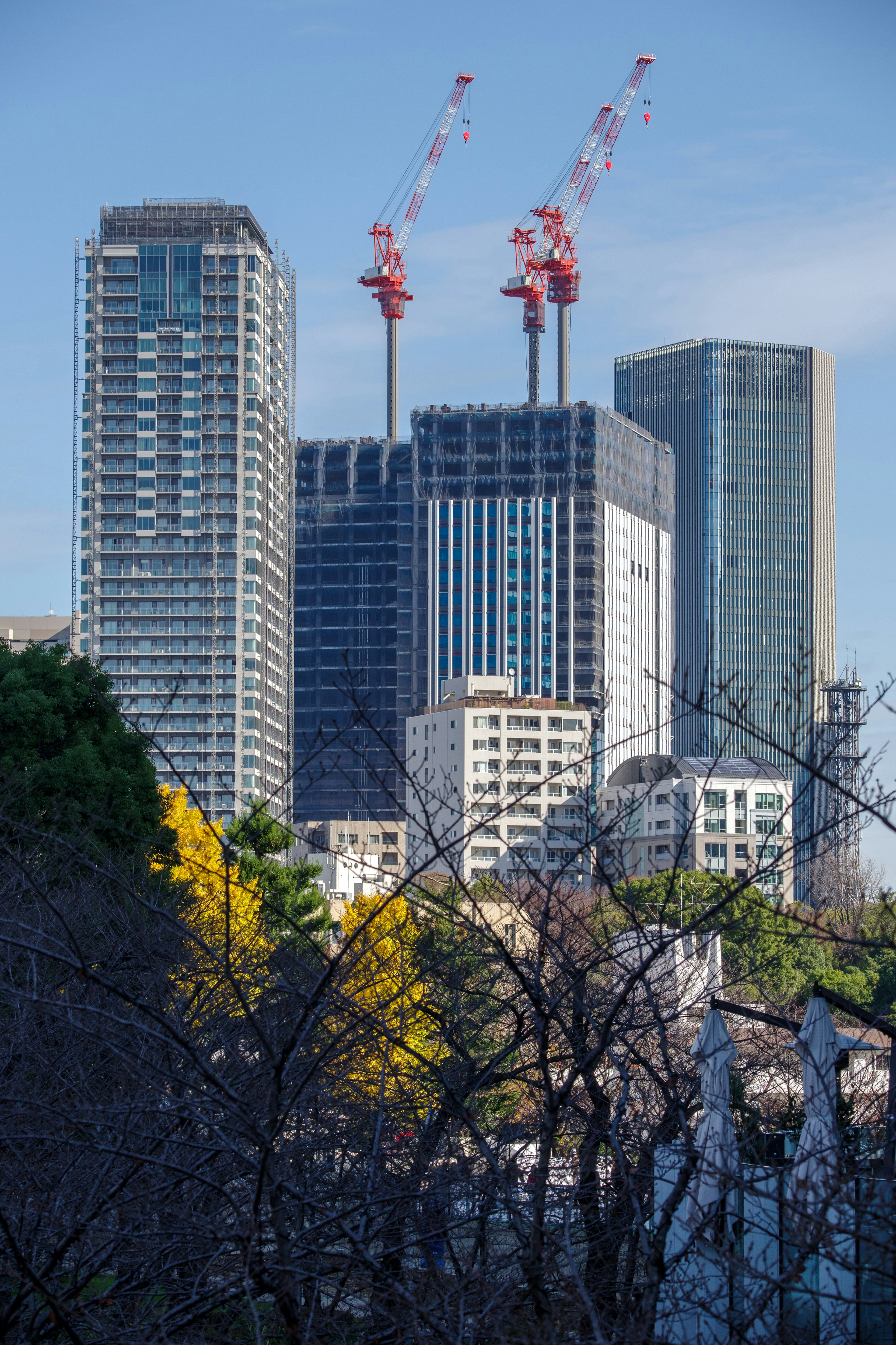 Paisaje urbano con rascacielos y grúas