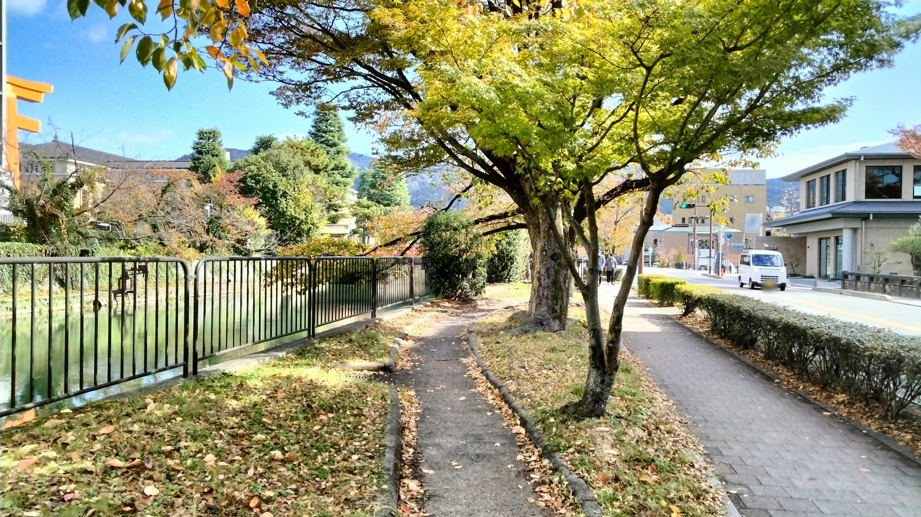 Camino rodeado de paisajes otoñales y árboles verdes