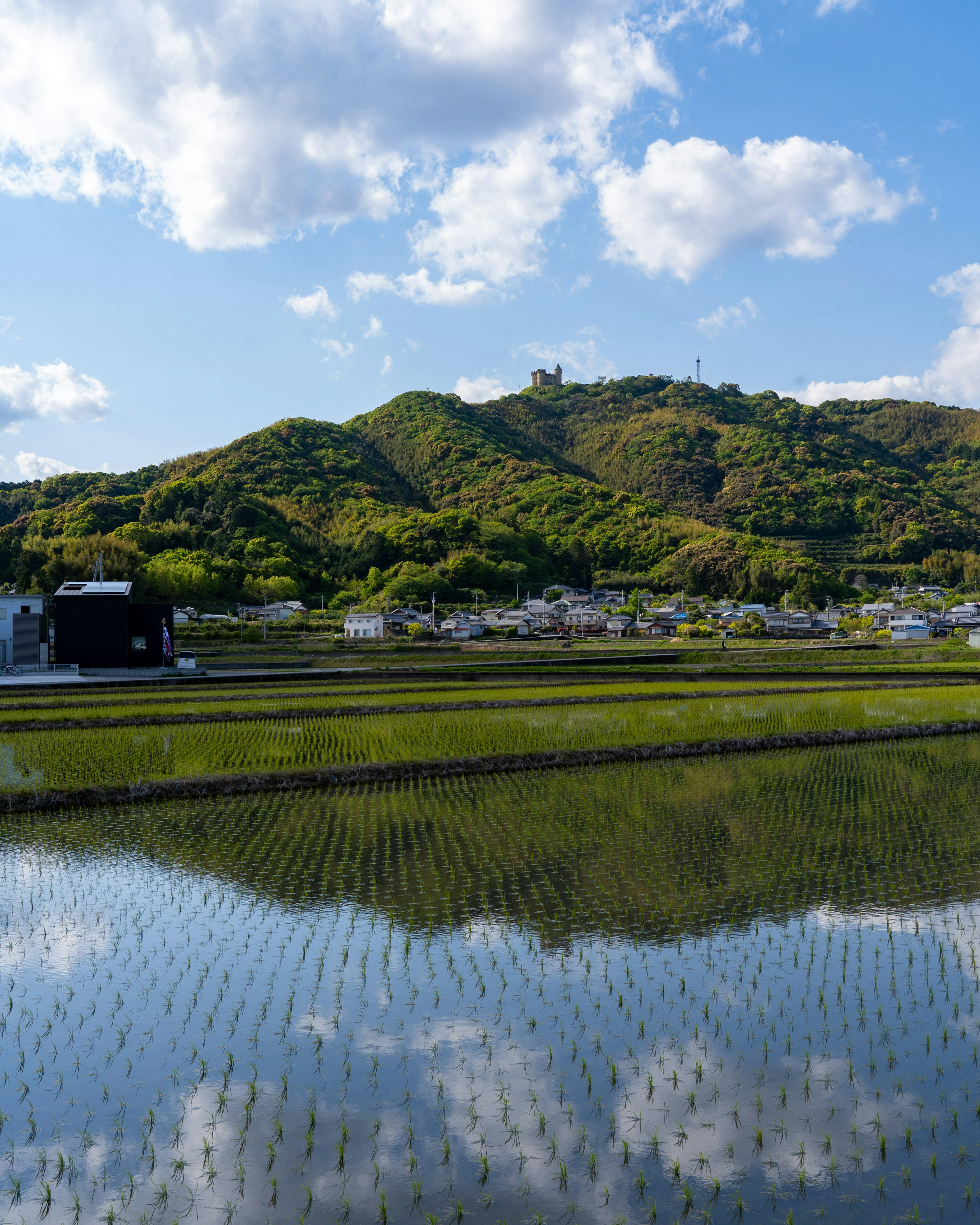 稻田倒映著天空和山脈的風景