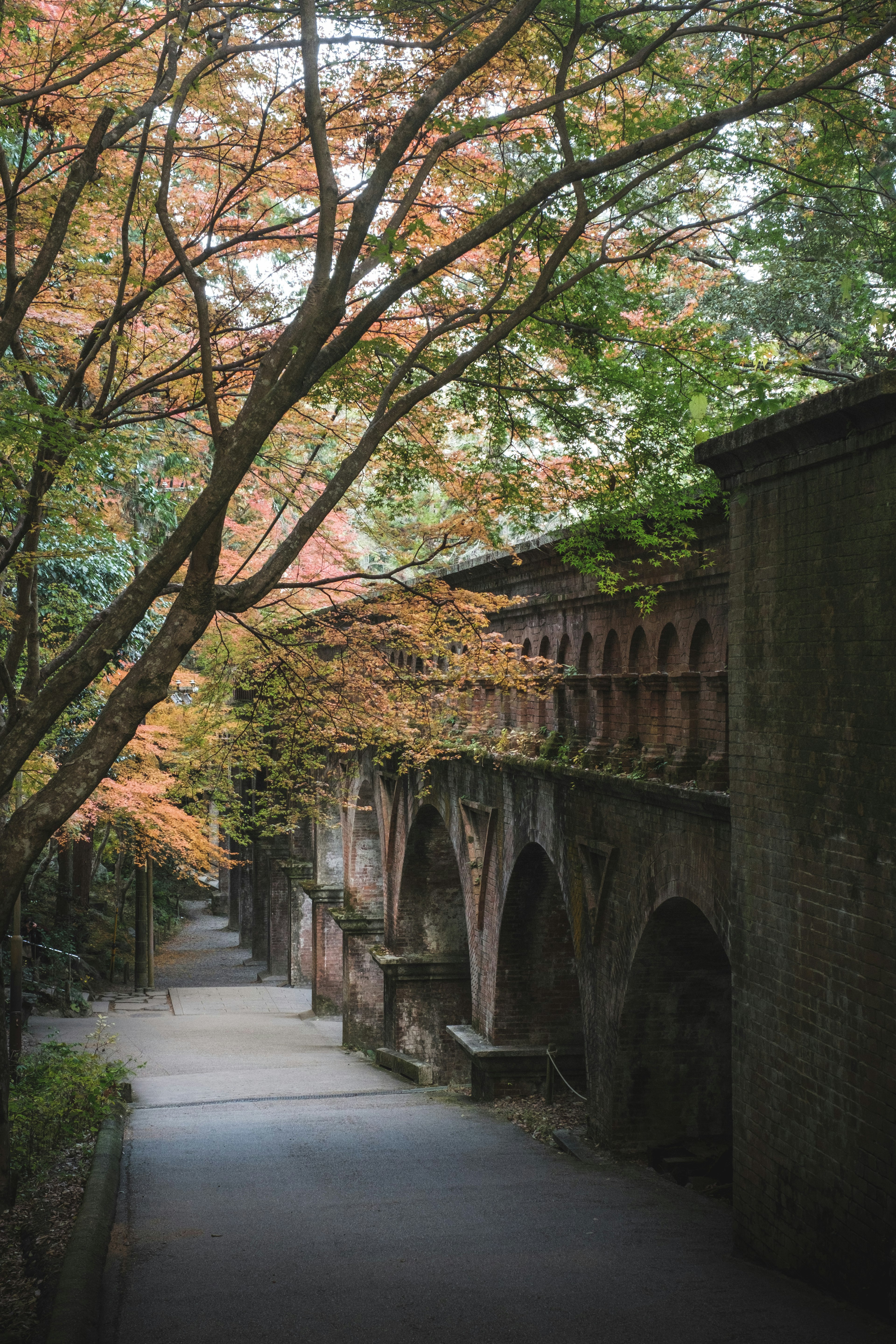 秋の紅葉が彩る歴史的なアーチのある小道