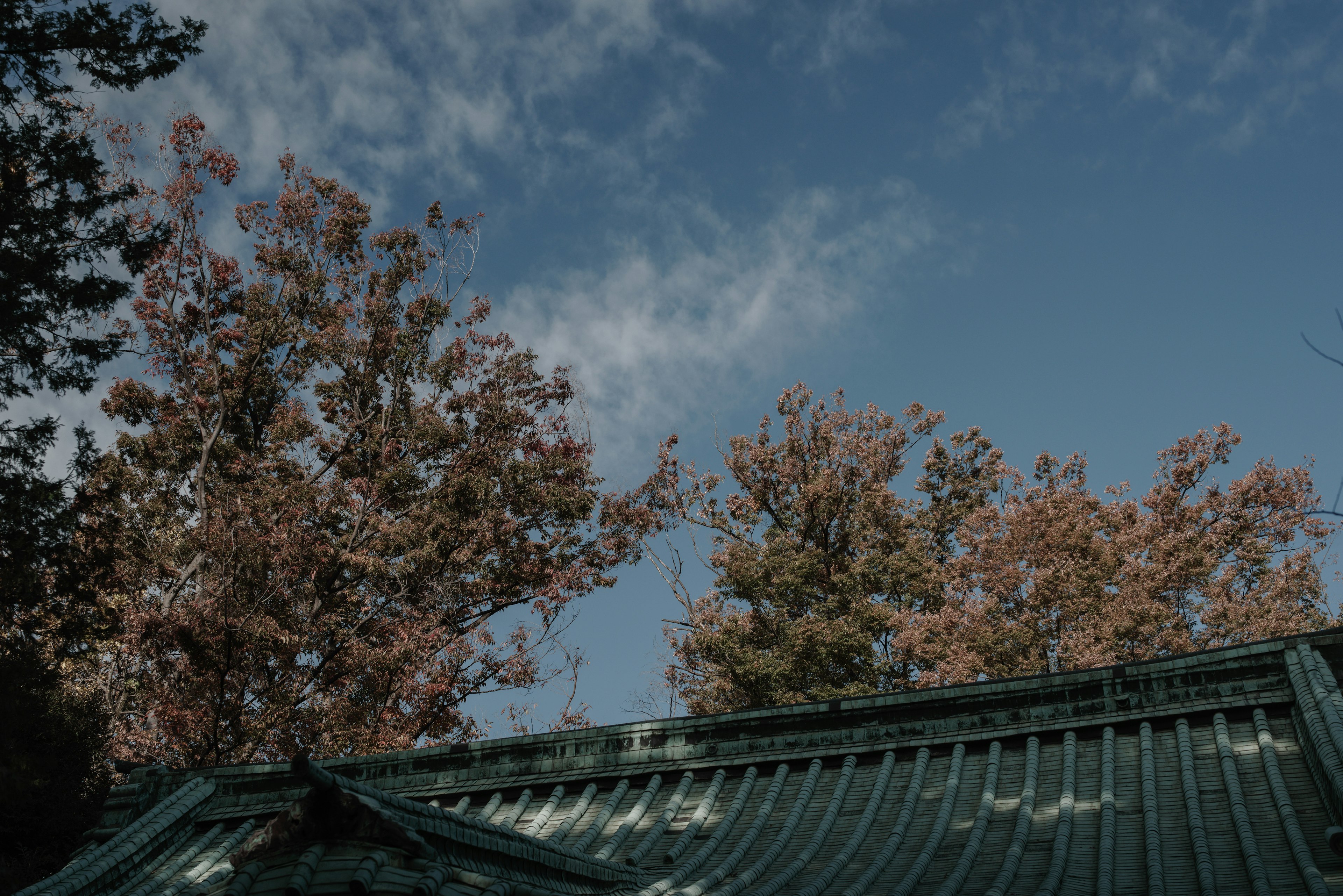 青空と紅葉した木々の間に見える屋根