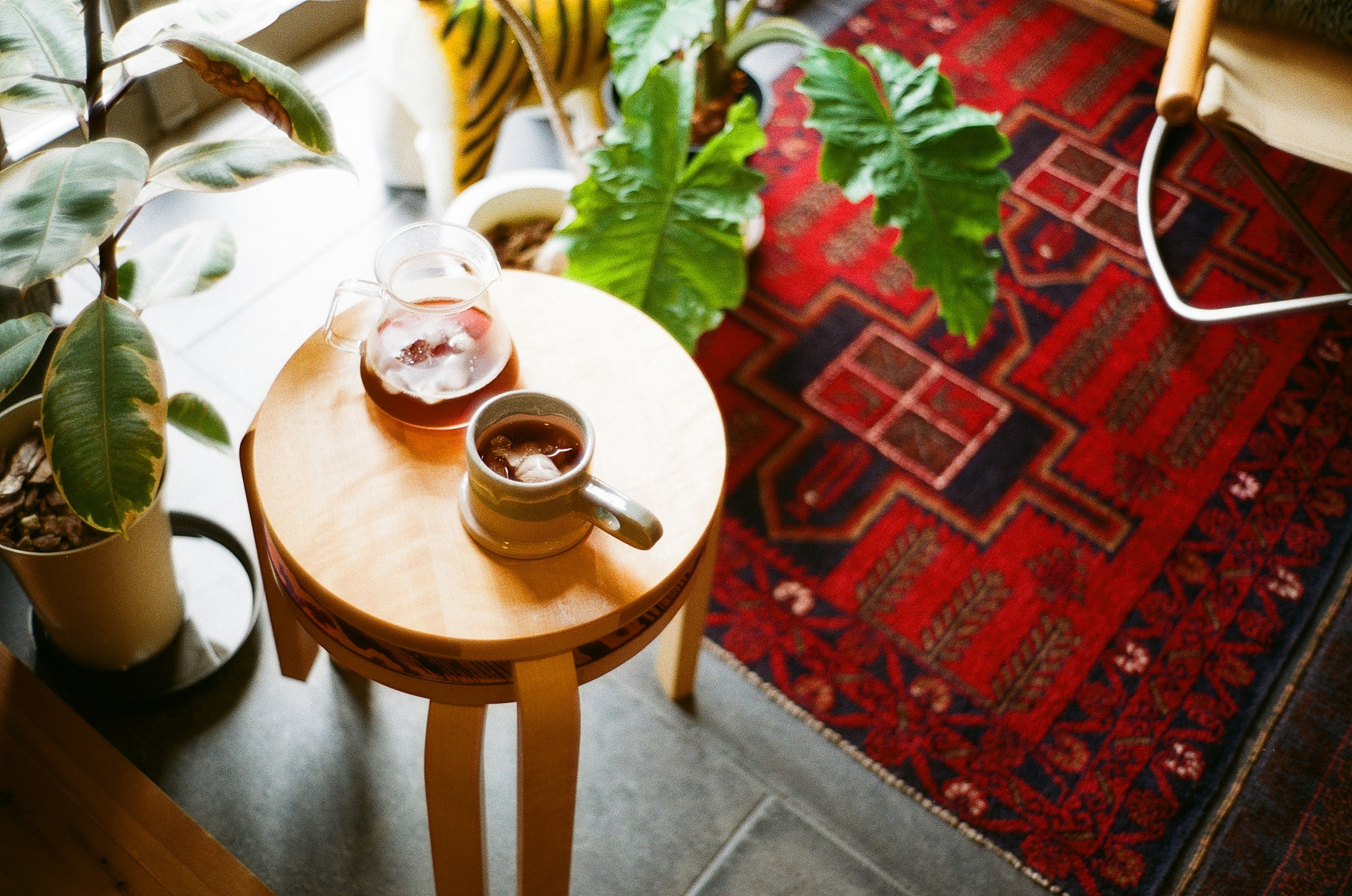 Cozy indoor scene featuring a wooden stool with a coffee cup and candle surrounded by houseplants and a red rug