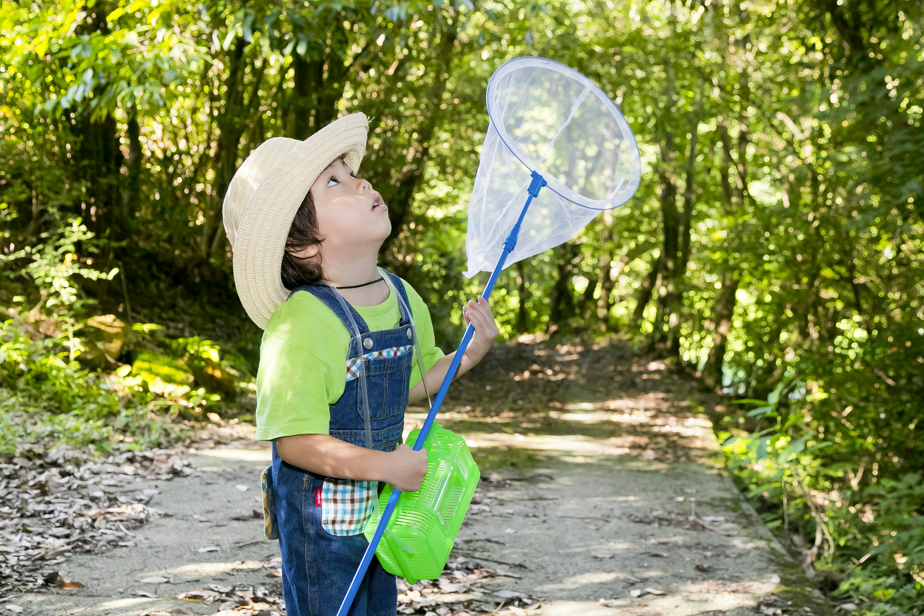 Enfant tenant un filet à papillons dans une forêt