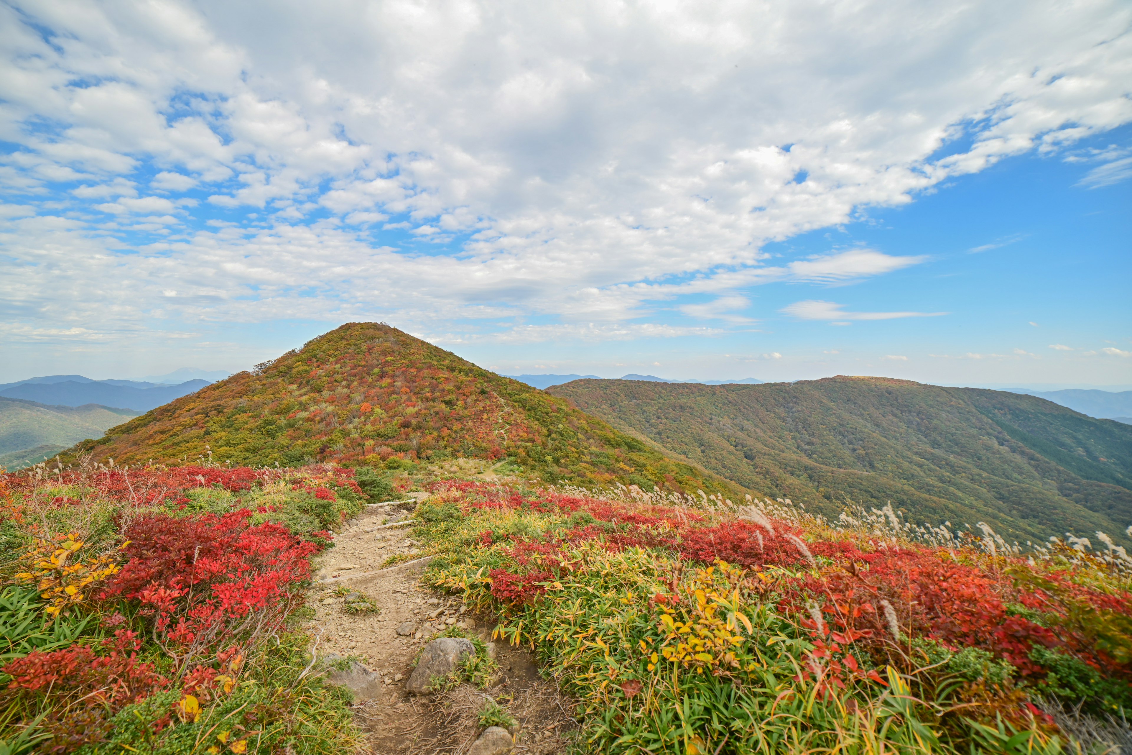 Sentiero di montagna panoramico circondato da fogliame autunnale vivace e cielo blu