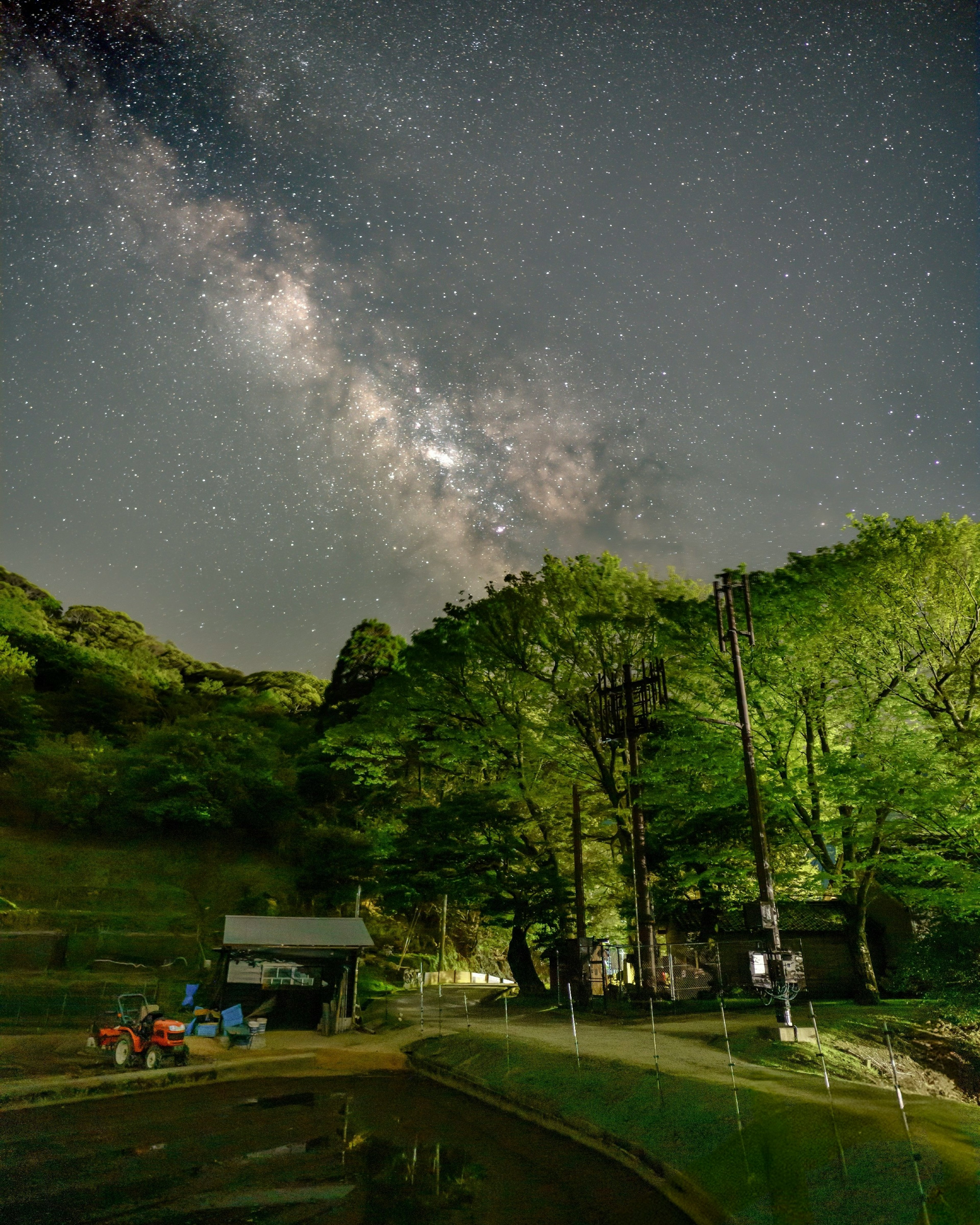 Cielo notturno con la Via Lattea e alberi verdi lussureggianti