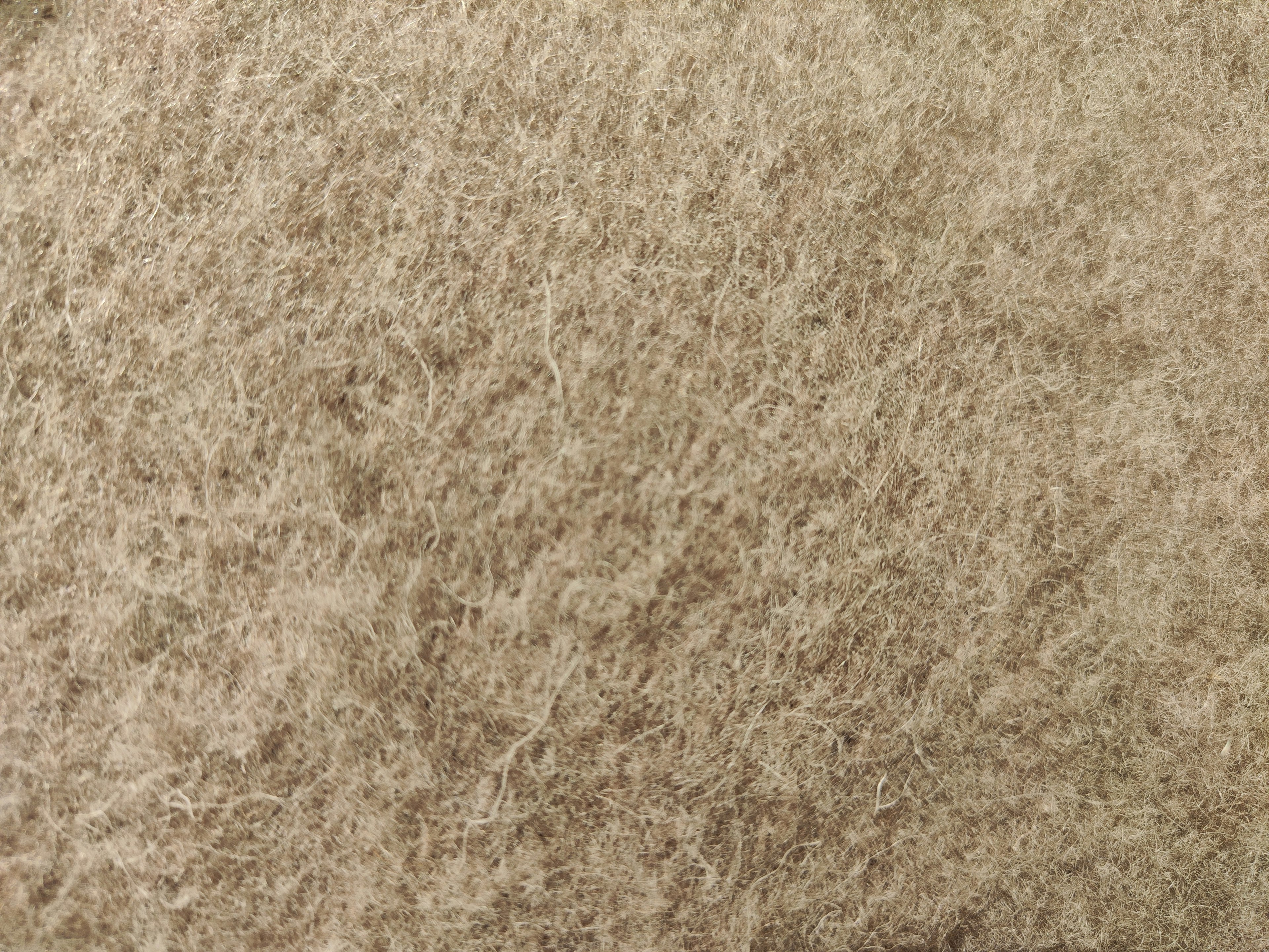 Textured surface of light beige fibers