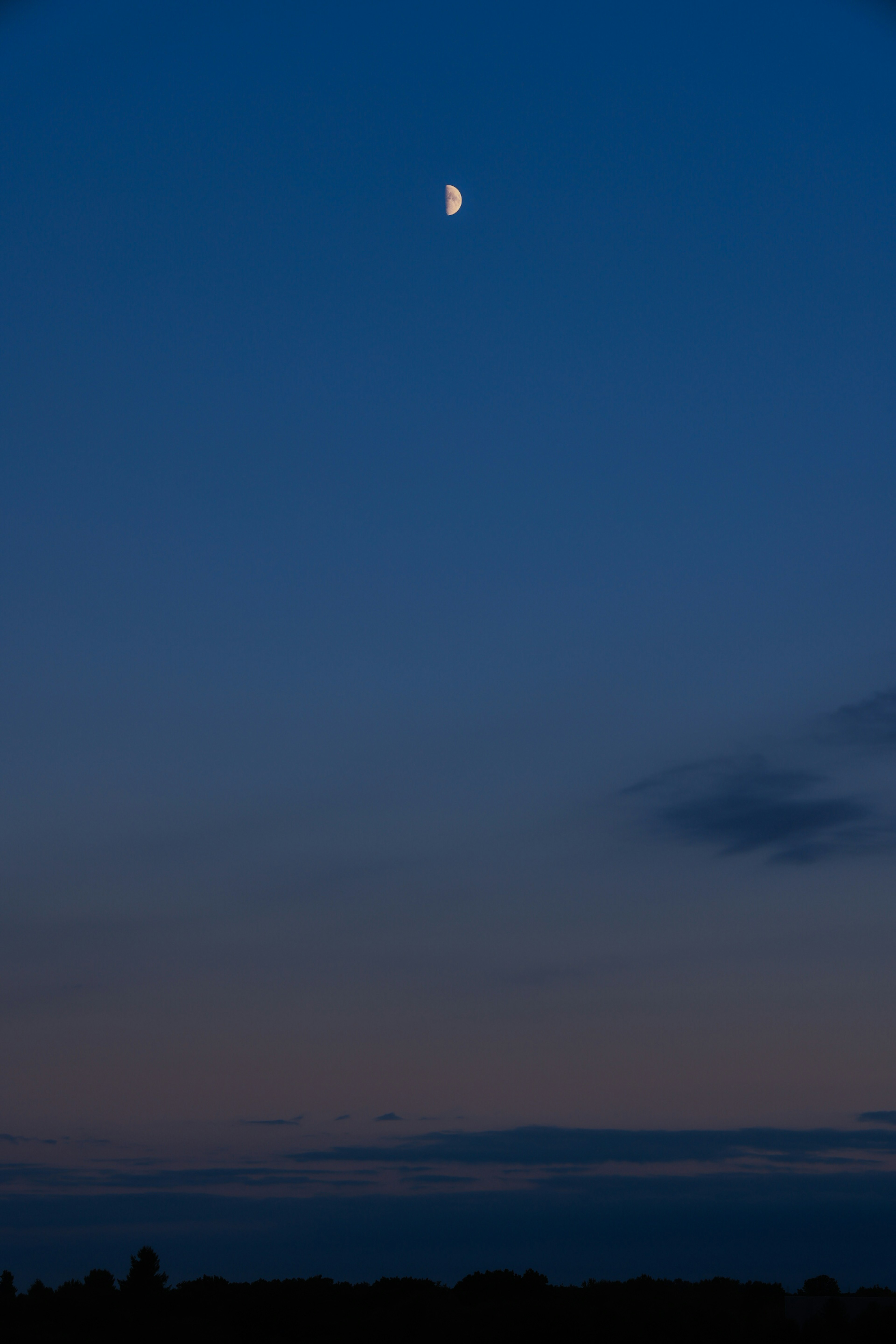 Mezza luna in un cielo blu con un orizzonte scuro