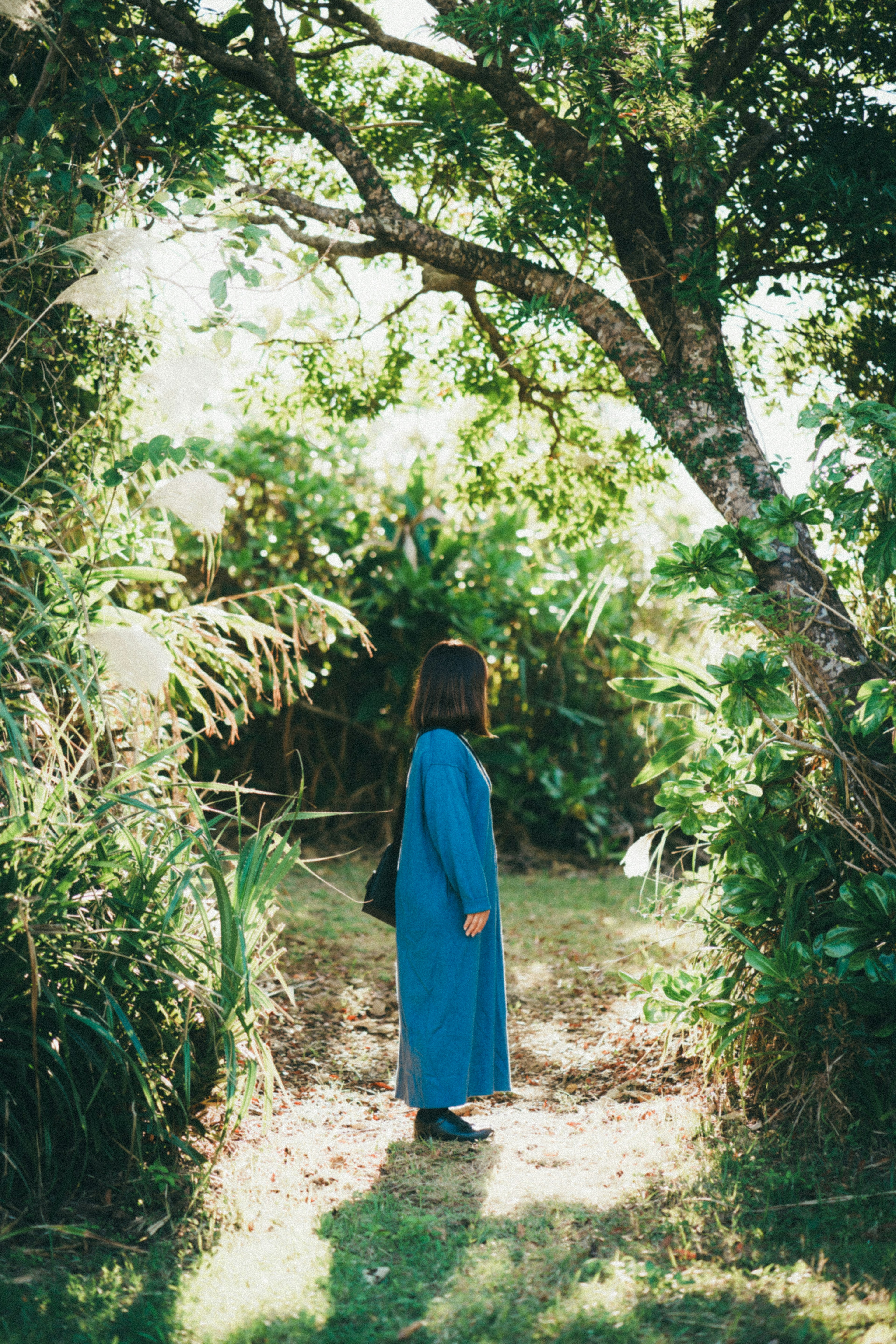 A woman in a blue dress standing on a path surrounded by green trees