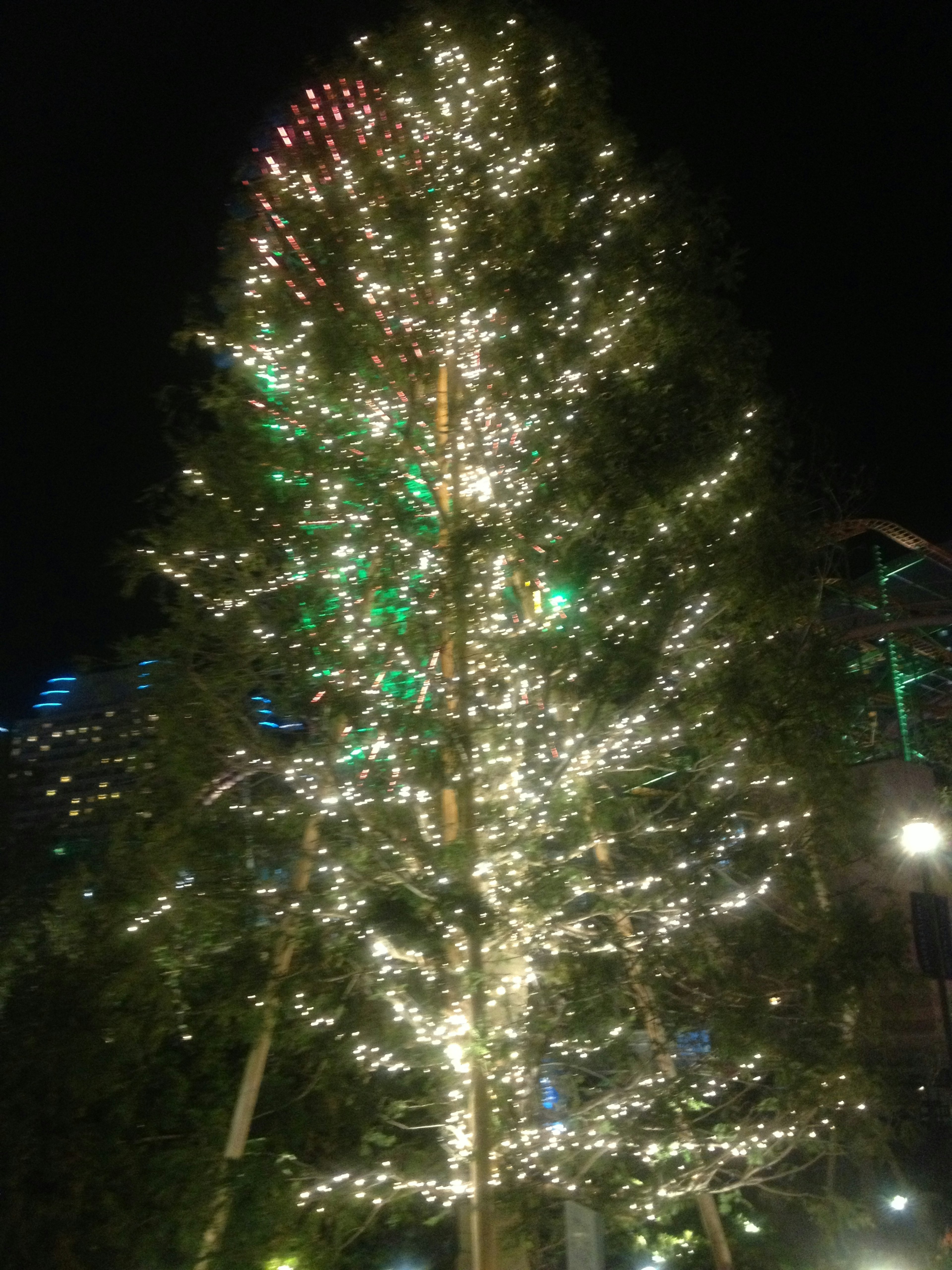 Illuminated tree at night with bright lights