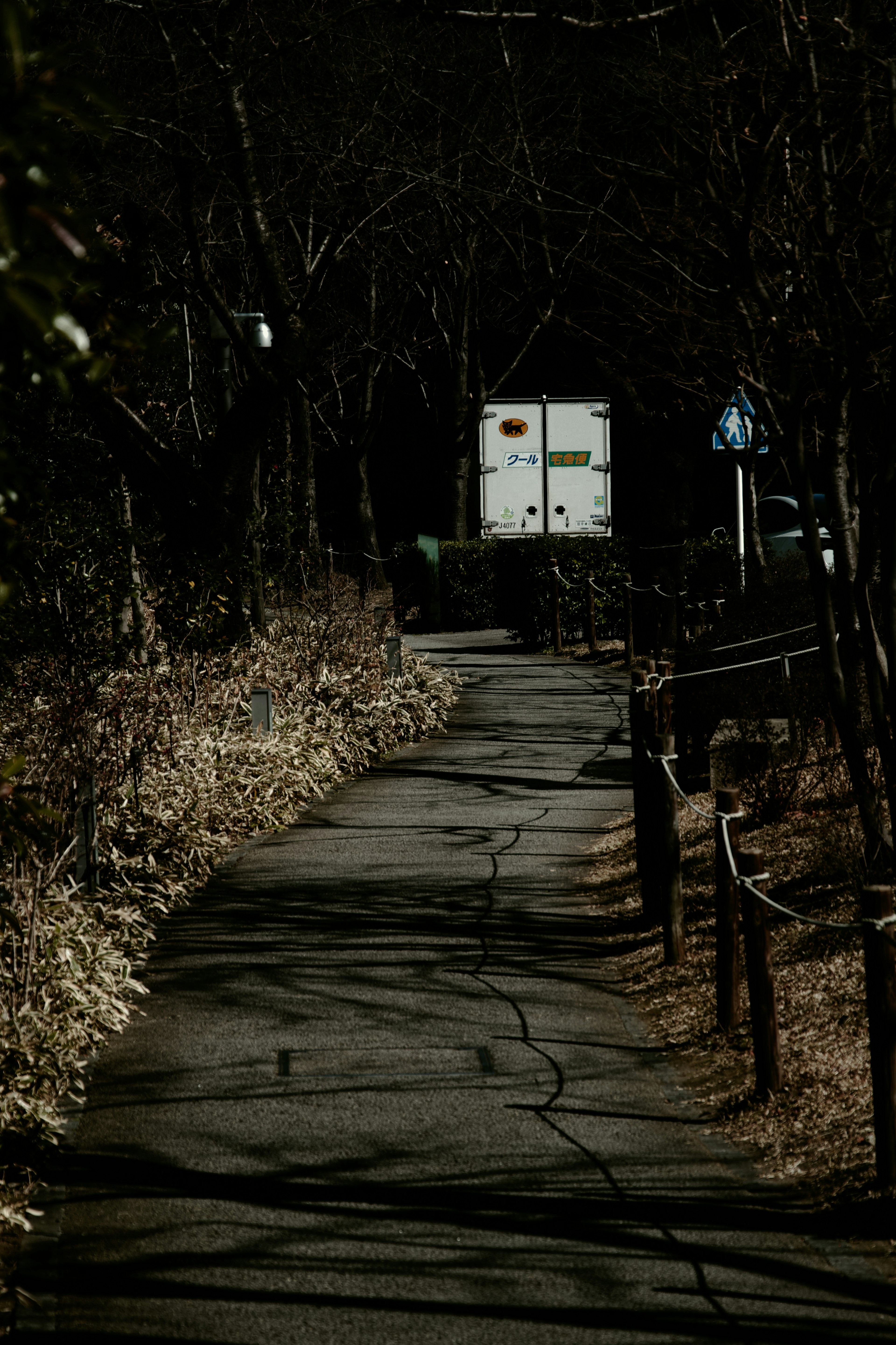 Un chemin sombre menant à un camion blanc au loin