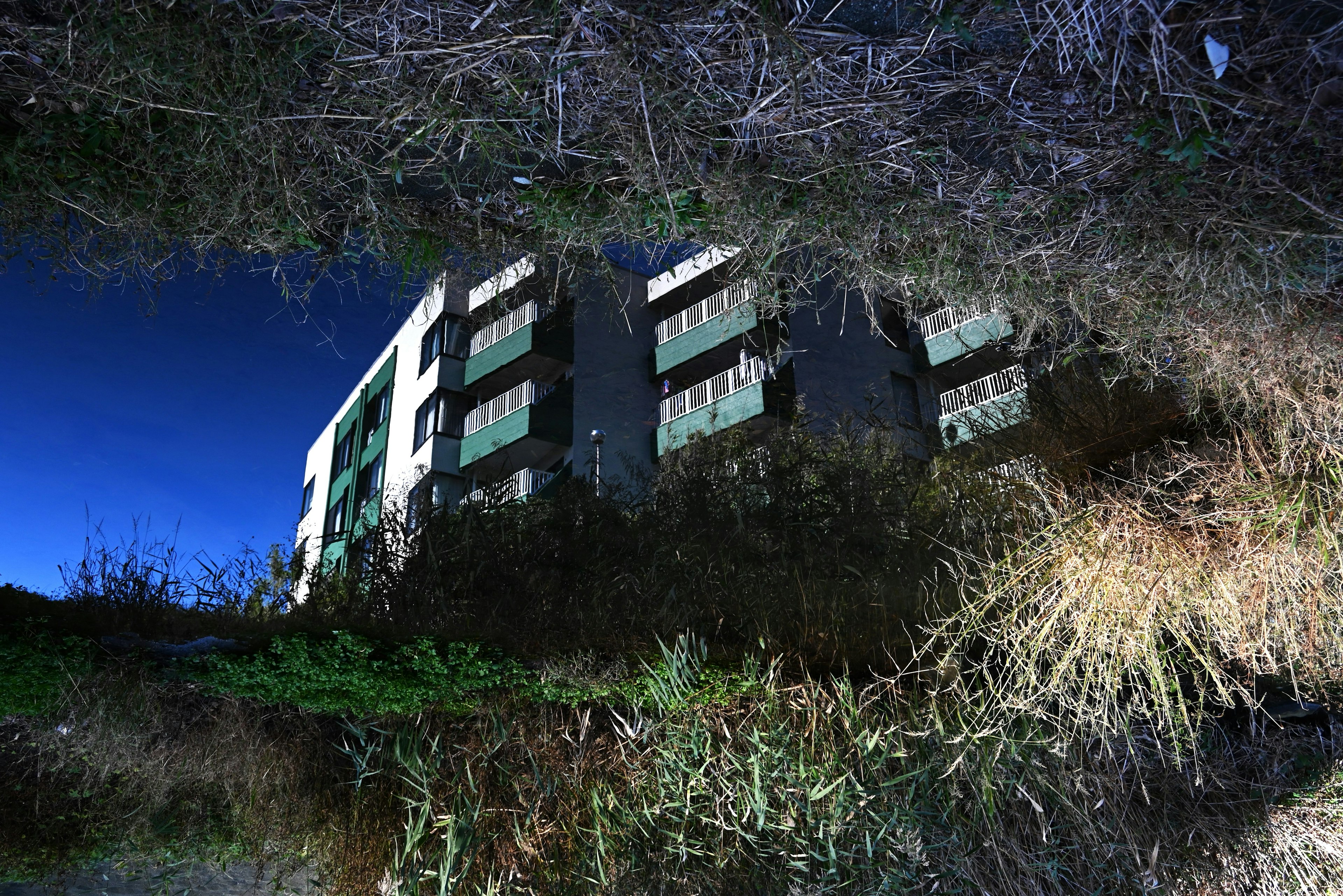 Reflection of a building in dark water surrounded by grass