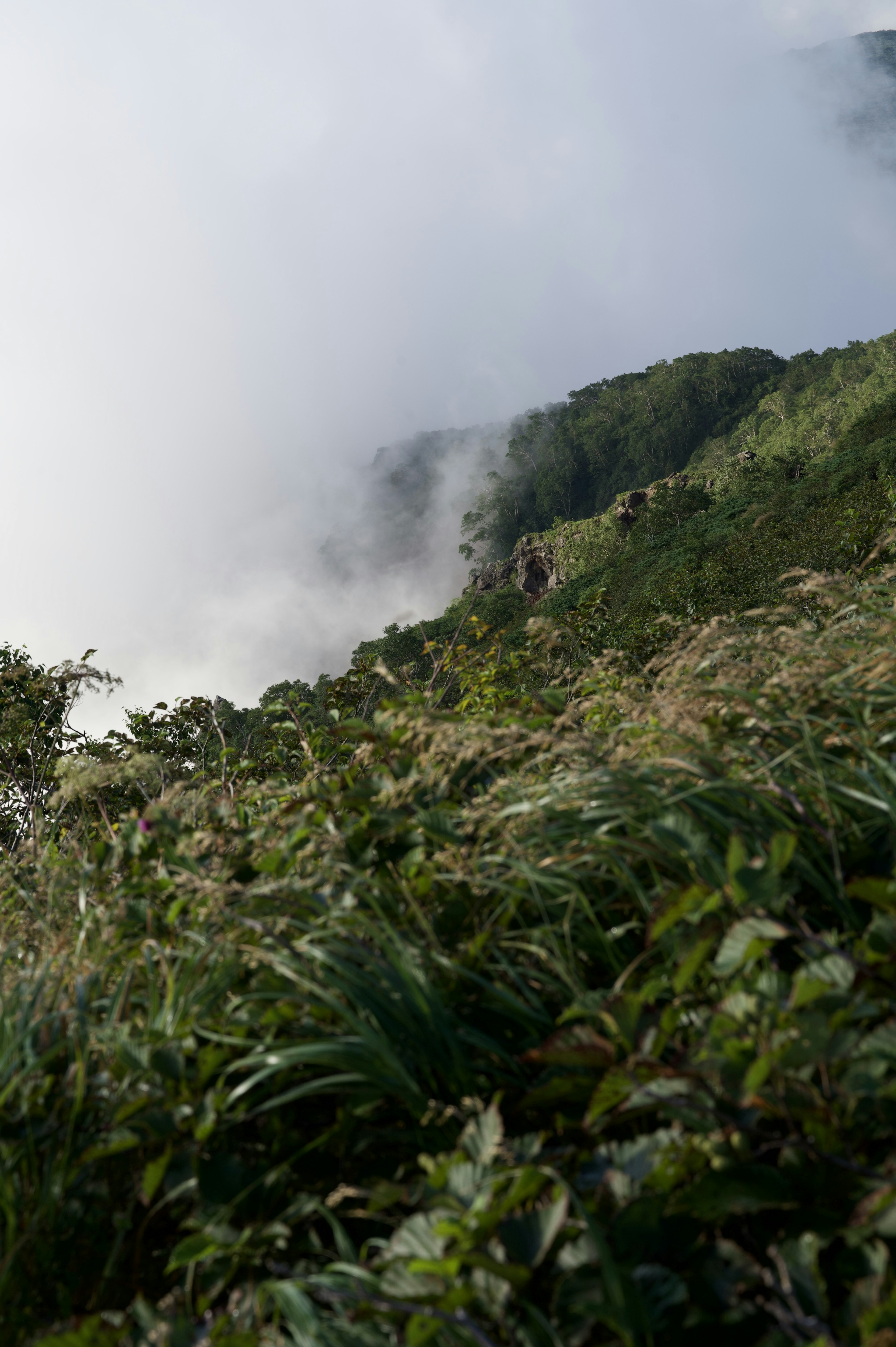 霧の中を歩く人々が見える山の風景