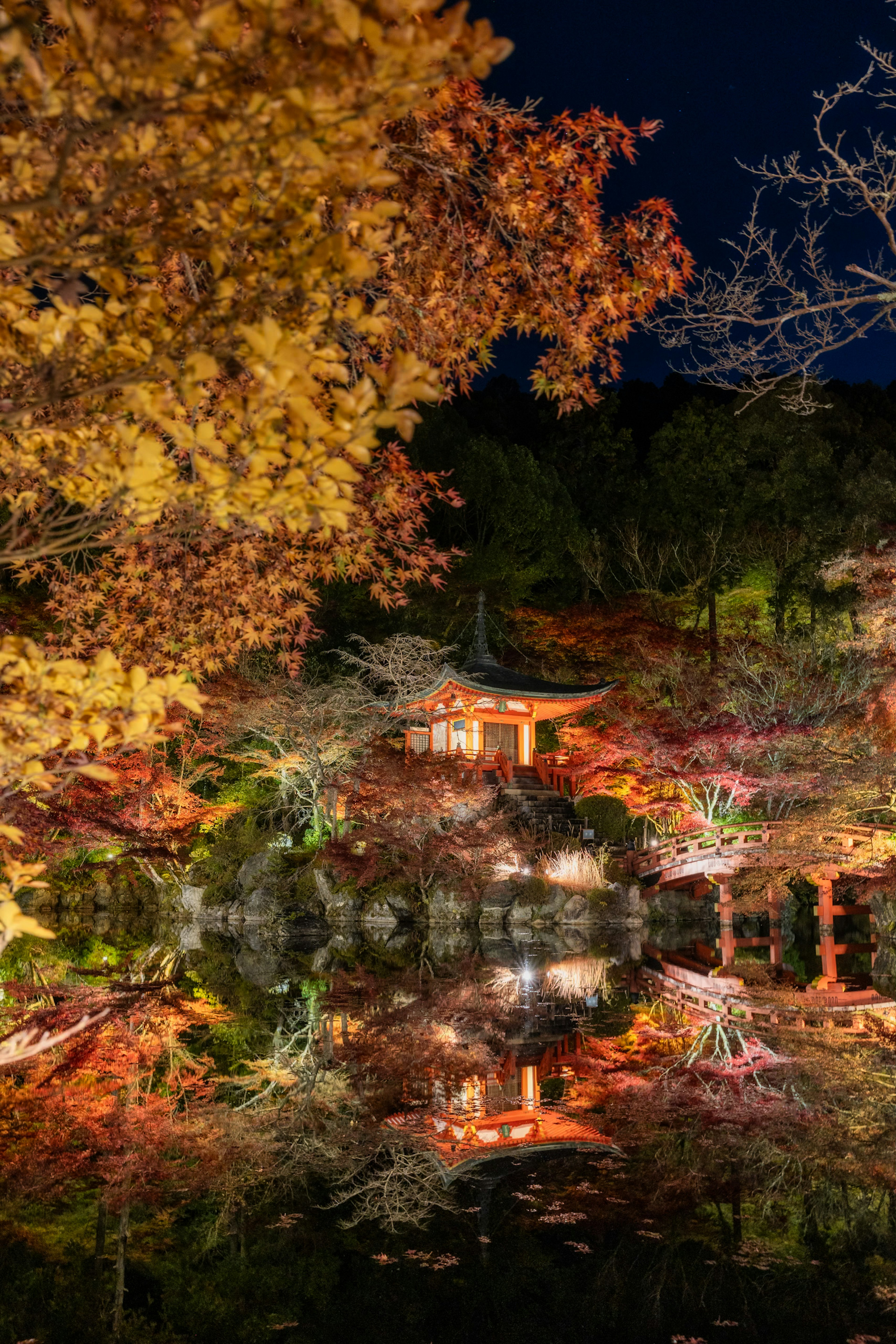 Hermoso follaje otoñal reflejándose en un estanque por la noche