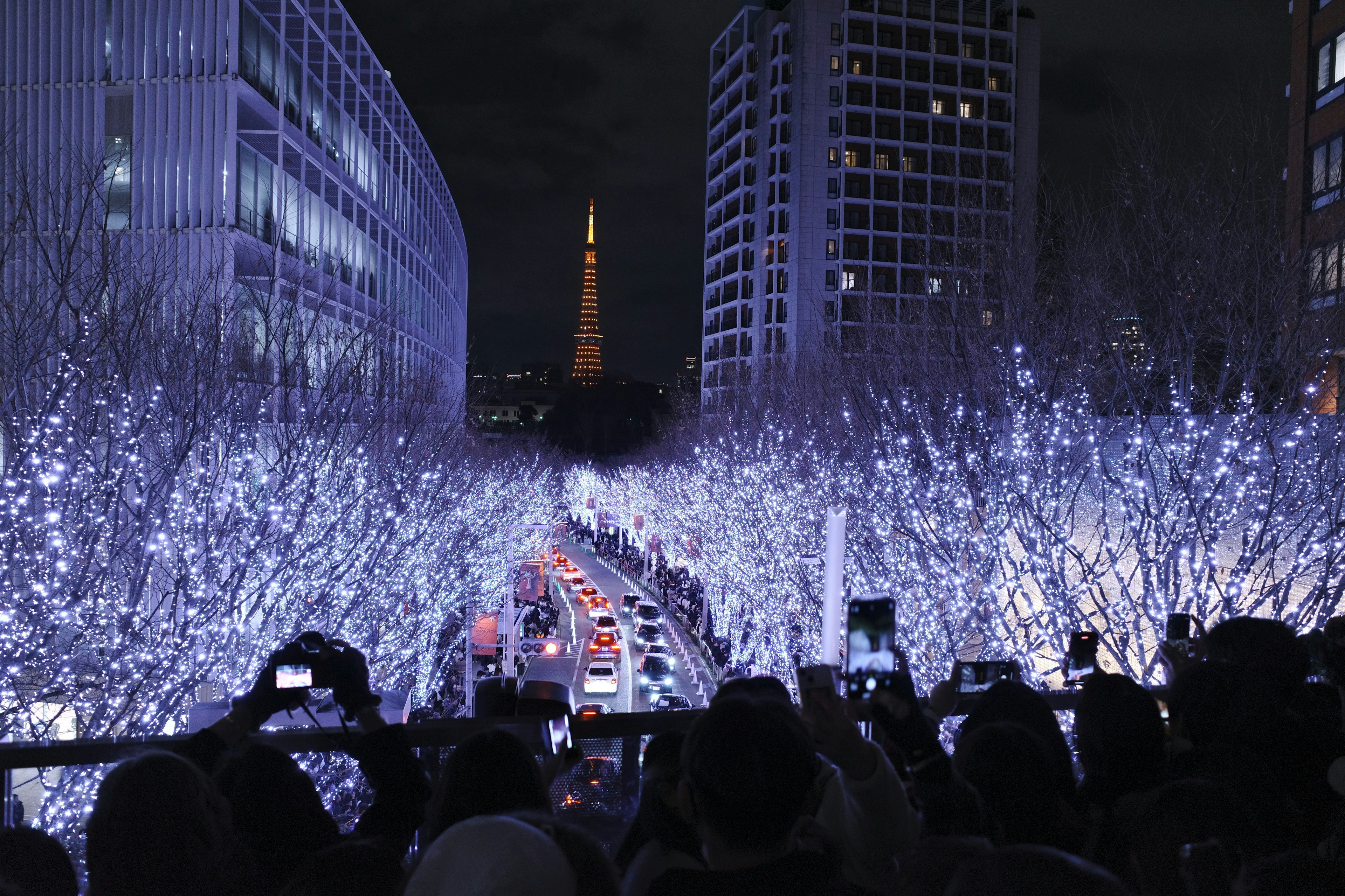 Escena nocturna con hermosos árboles iluminados y la Torre Eiffel al fondo