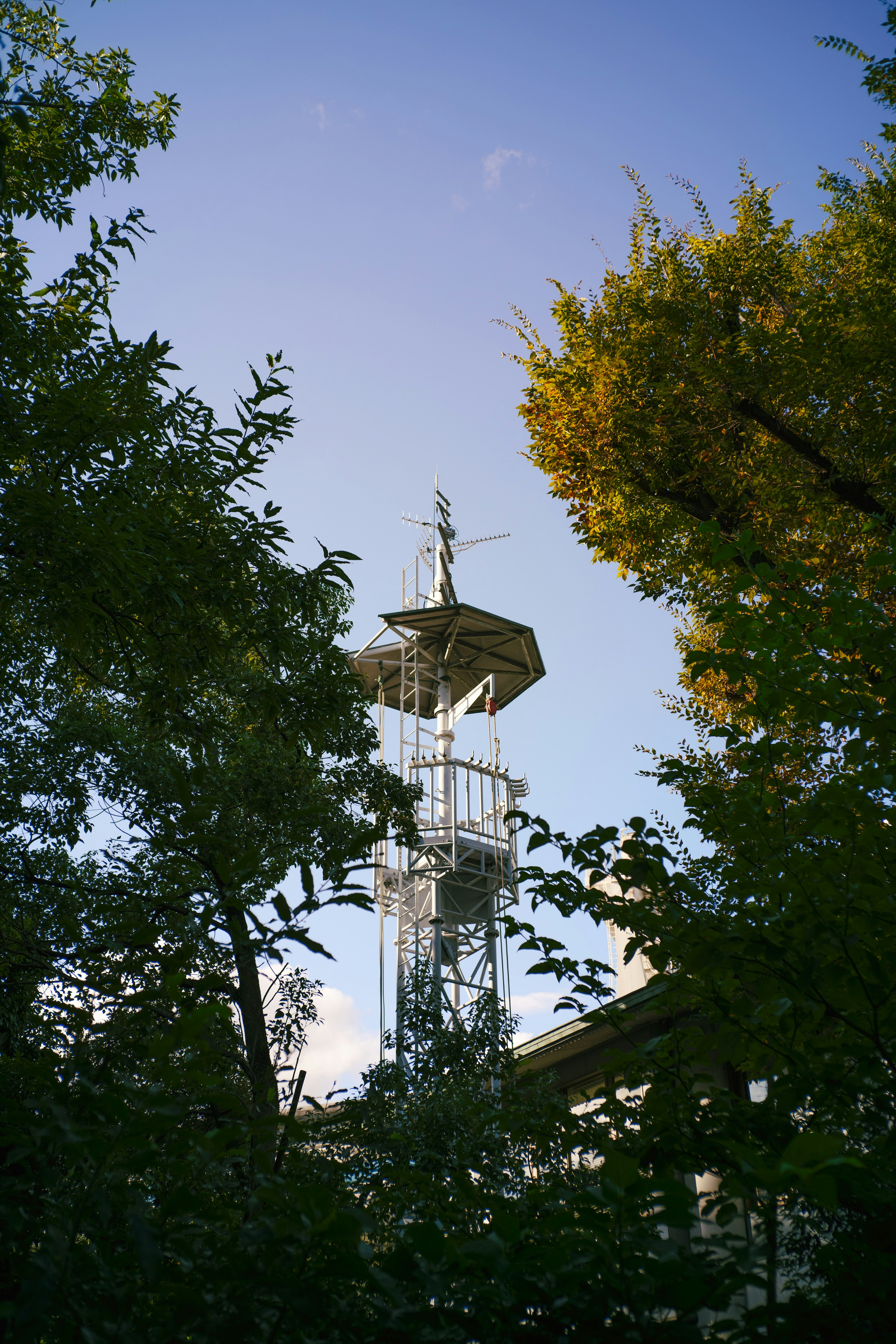 Kommunikationsturm teilweise von grünen Bäumen und blauem Himmel verdeckt