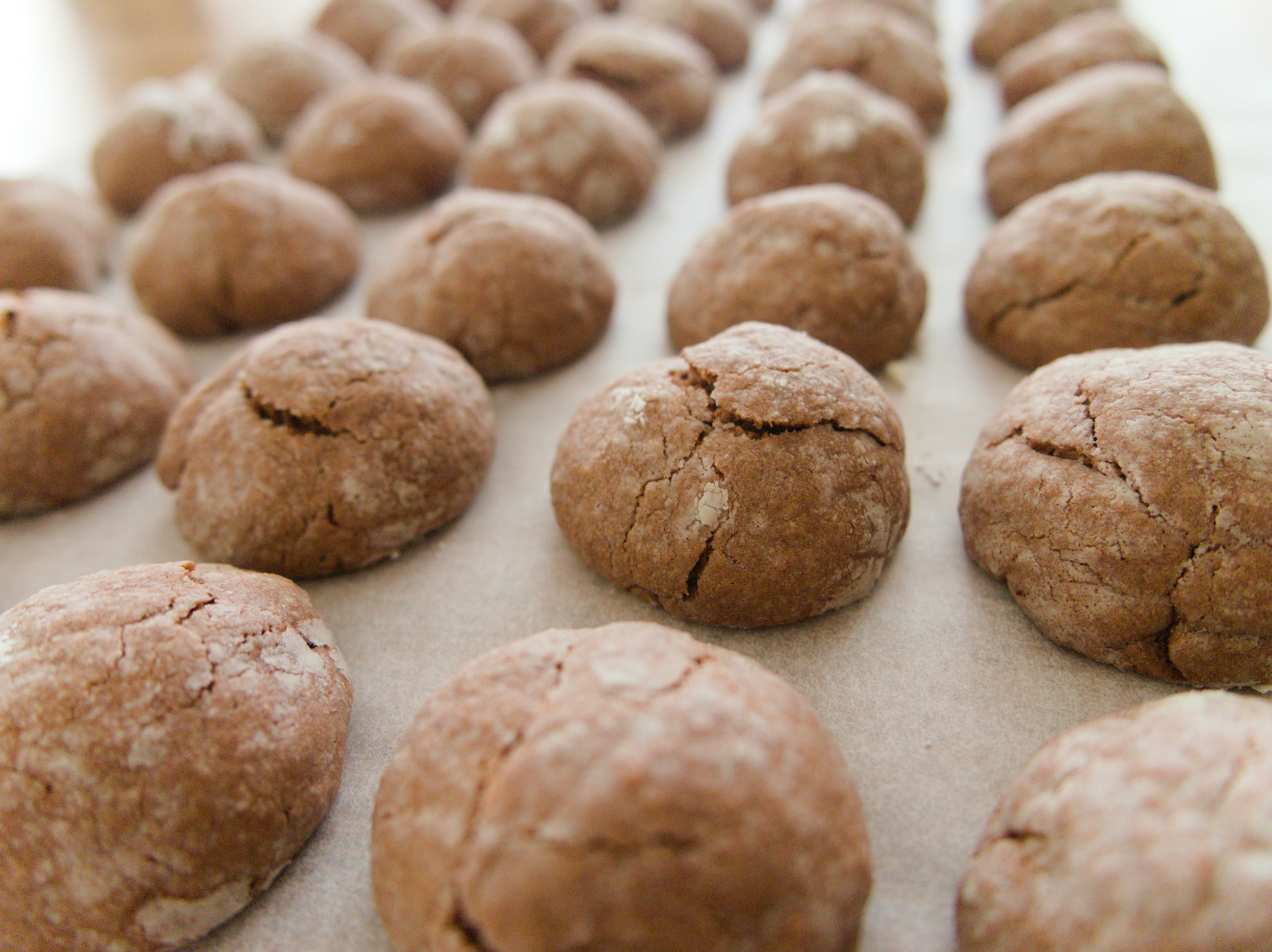 Unbaked cookie dough balls arranged in rows