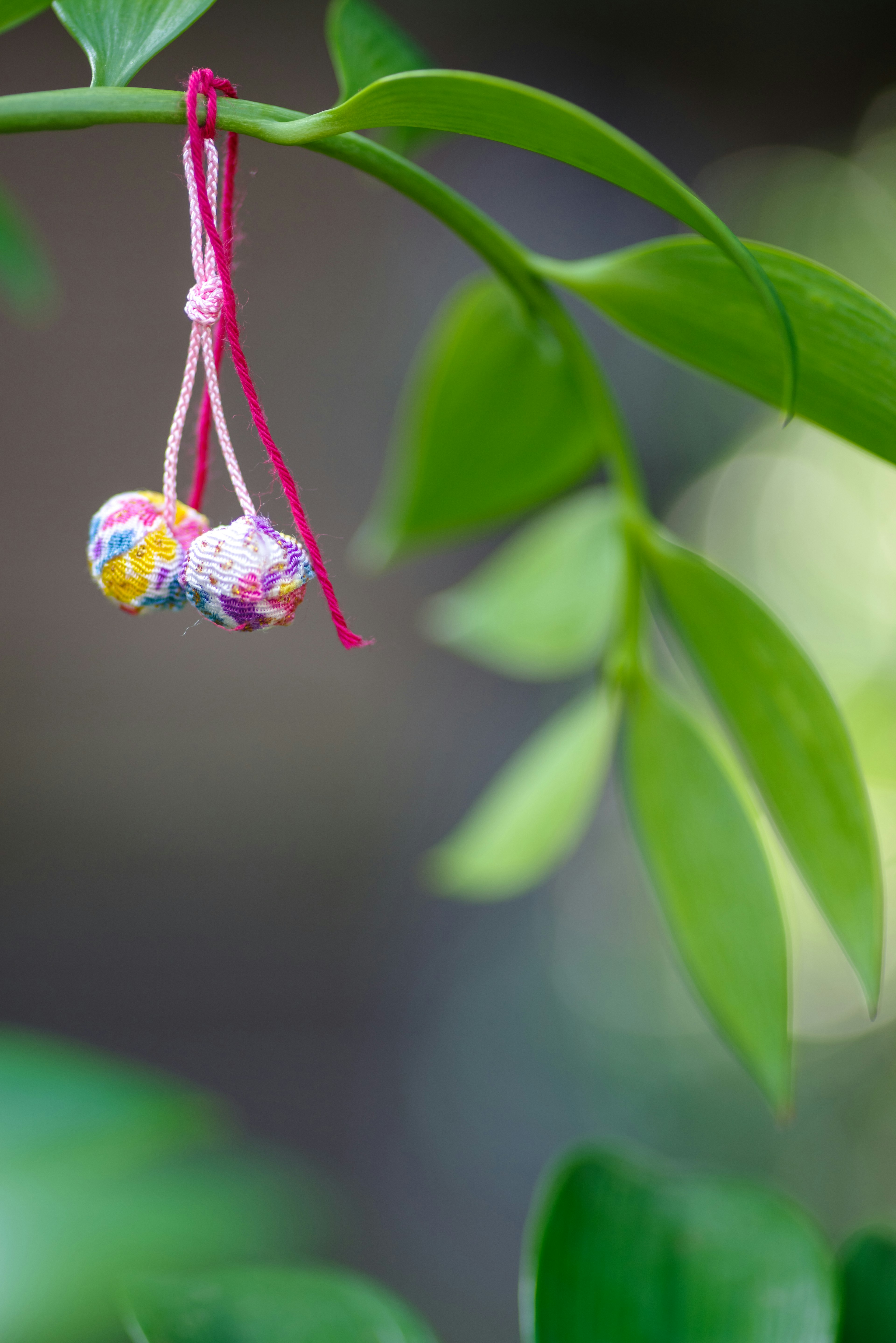 Colorful ornaments hanging from a branch with green leaves