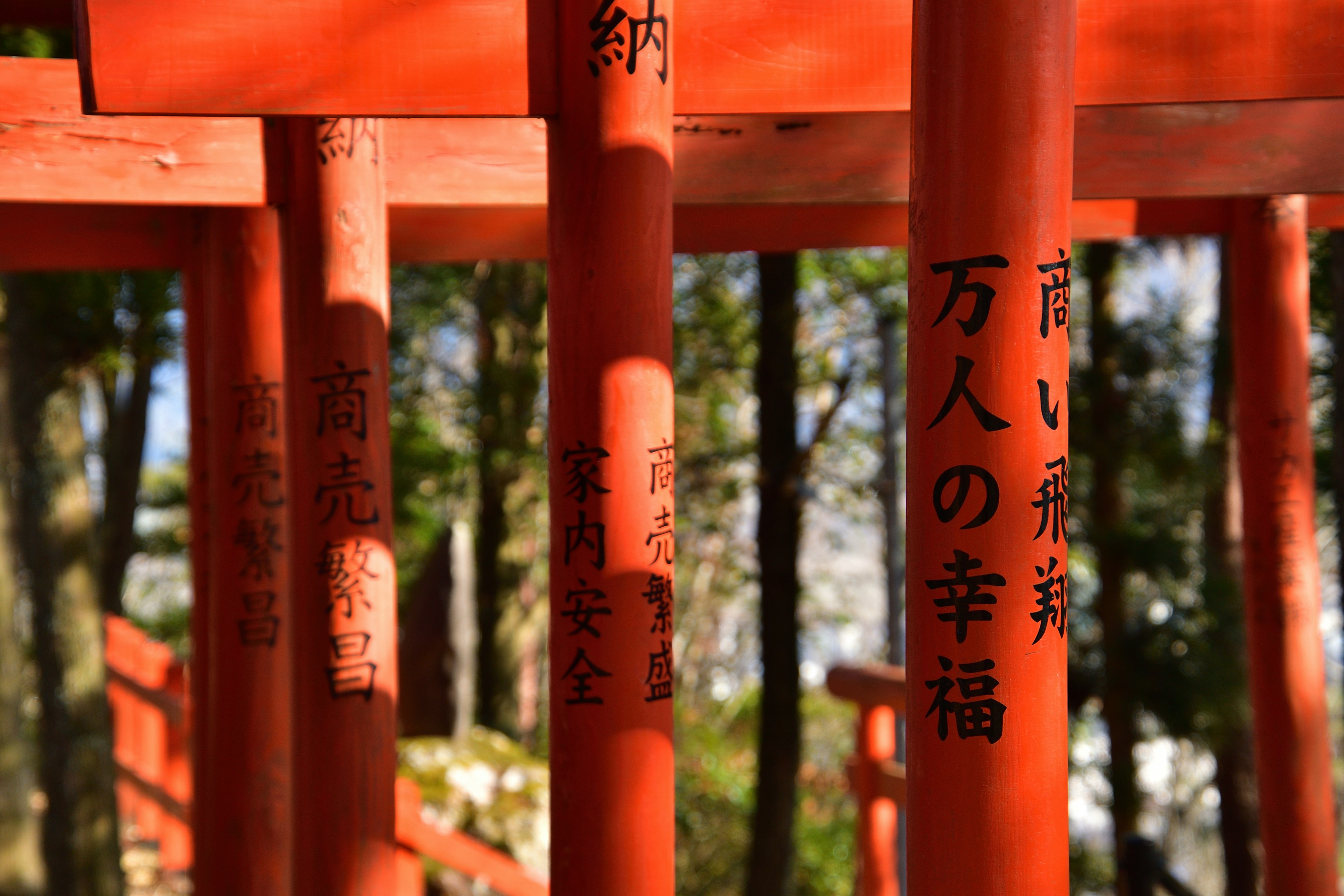 Piloni di torii rossi con iscrizioni e sfondo verde