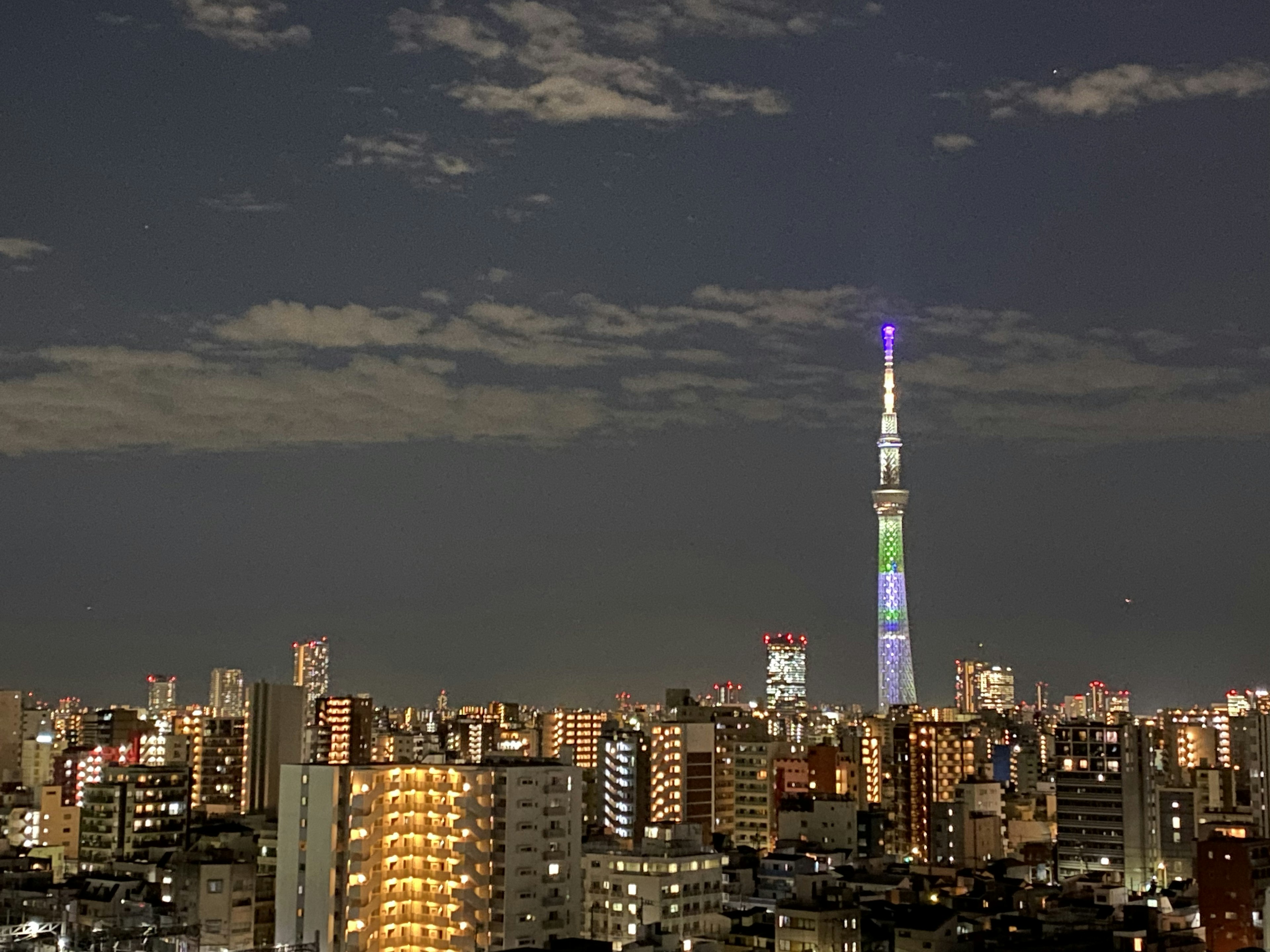 밤에 조명된 도쿄 스카이트리와 주변 건물들