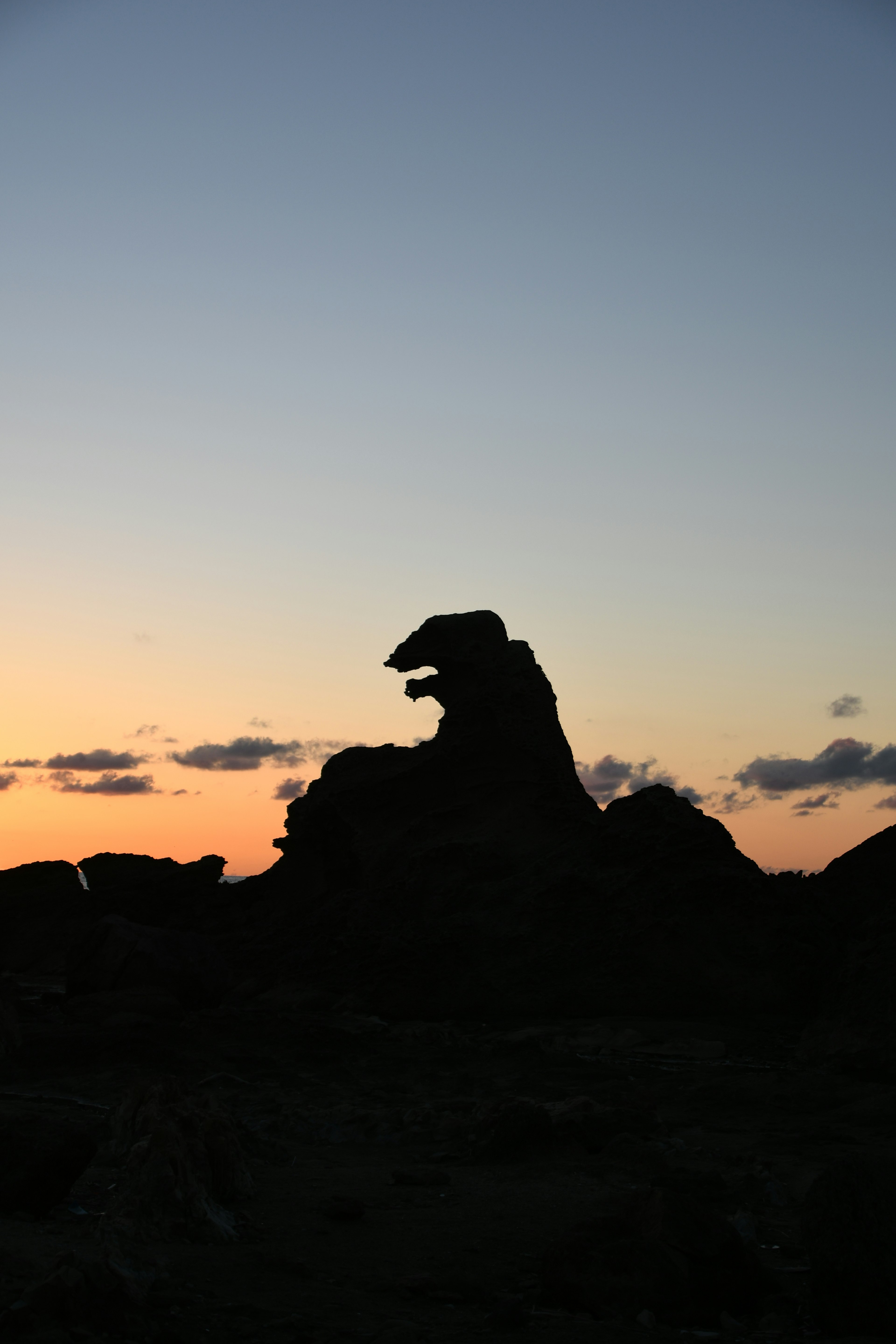 夕焼けの中にシルエットとして浮かぶ岩の形が動物のように見える