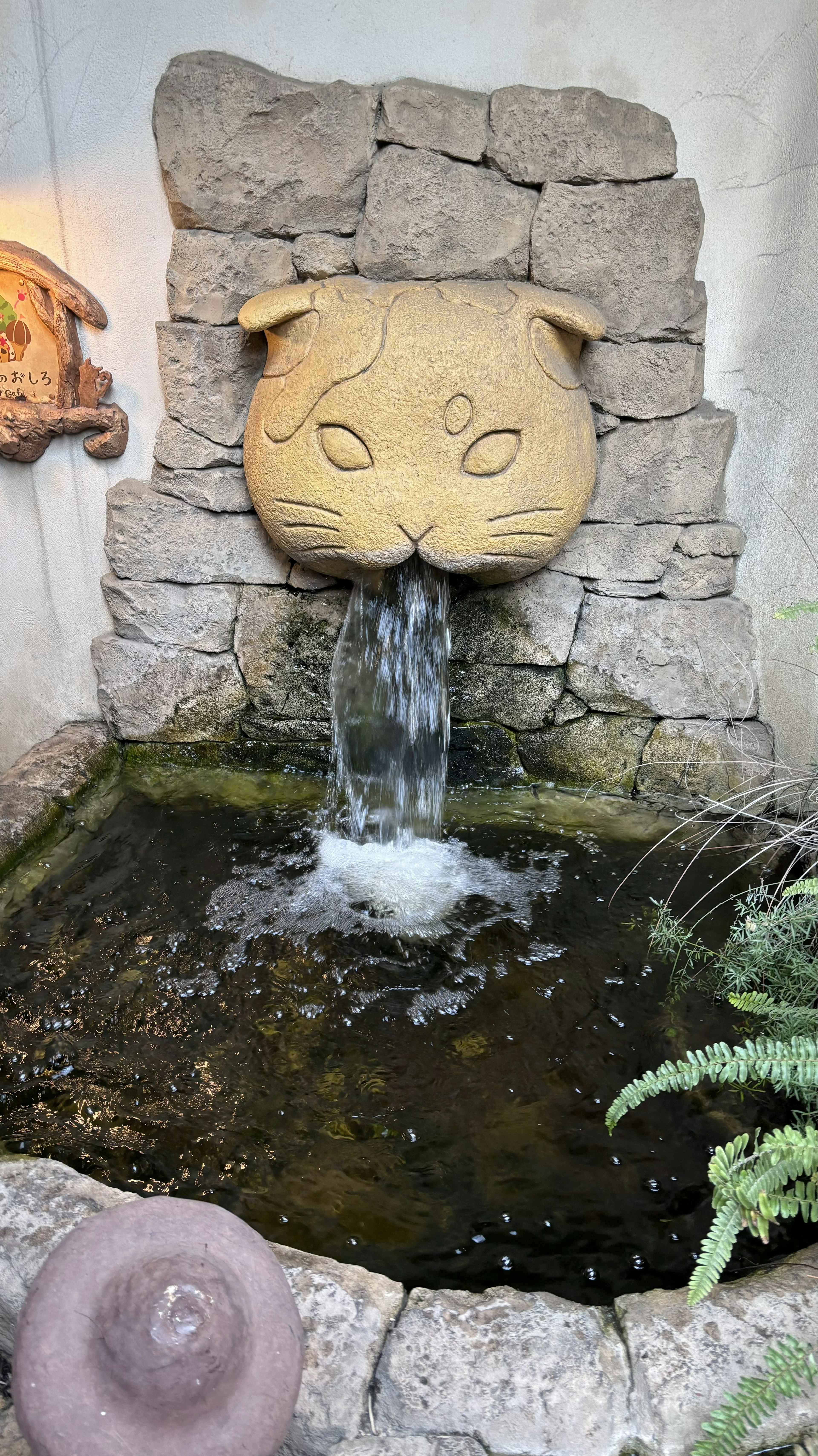 Un laghetto da giardino con una fontana a forma di testa di gatto e un muro di pietra