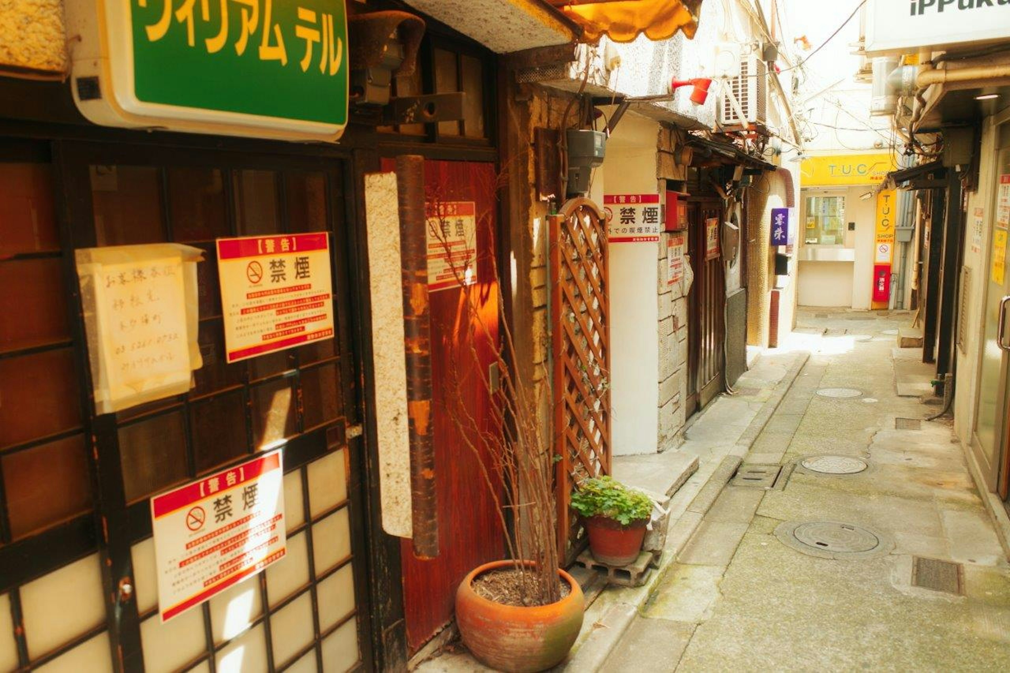 Callejón estrecho con letreros y decoración de restaurantes japoneses tradicionales