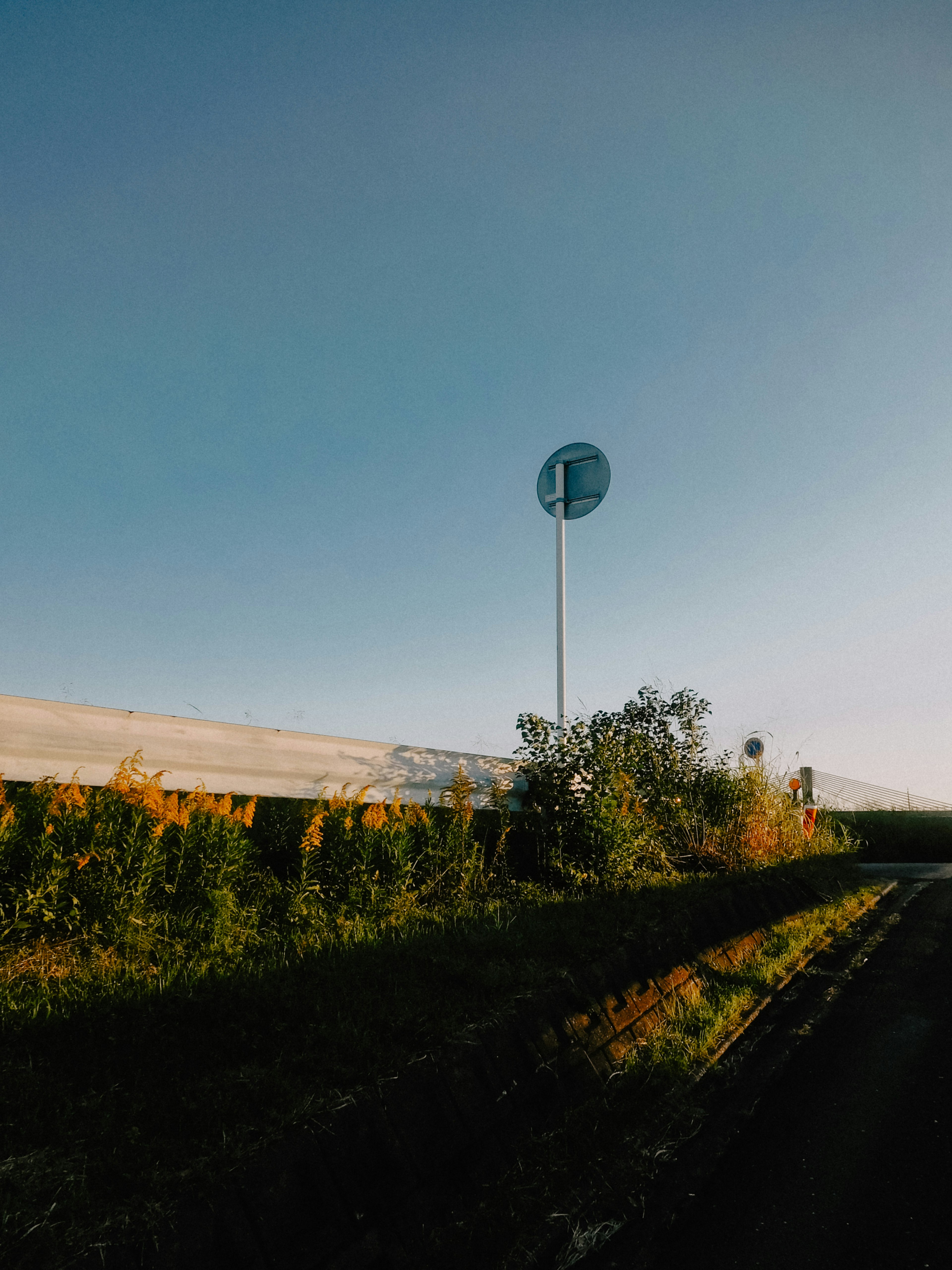 Señal de tráfico bajo un cielo azul claro con plantas verdes cercanas