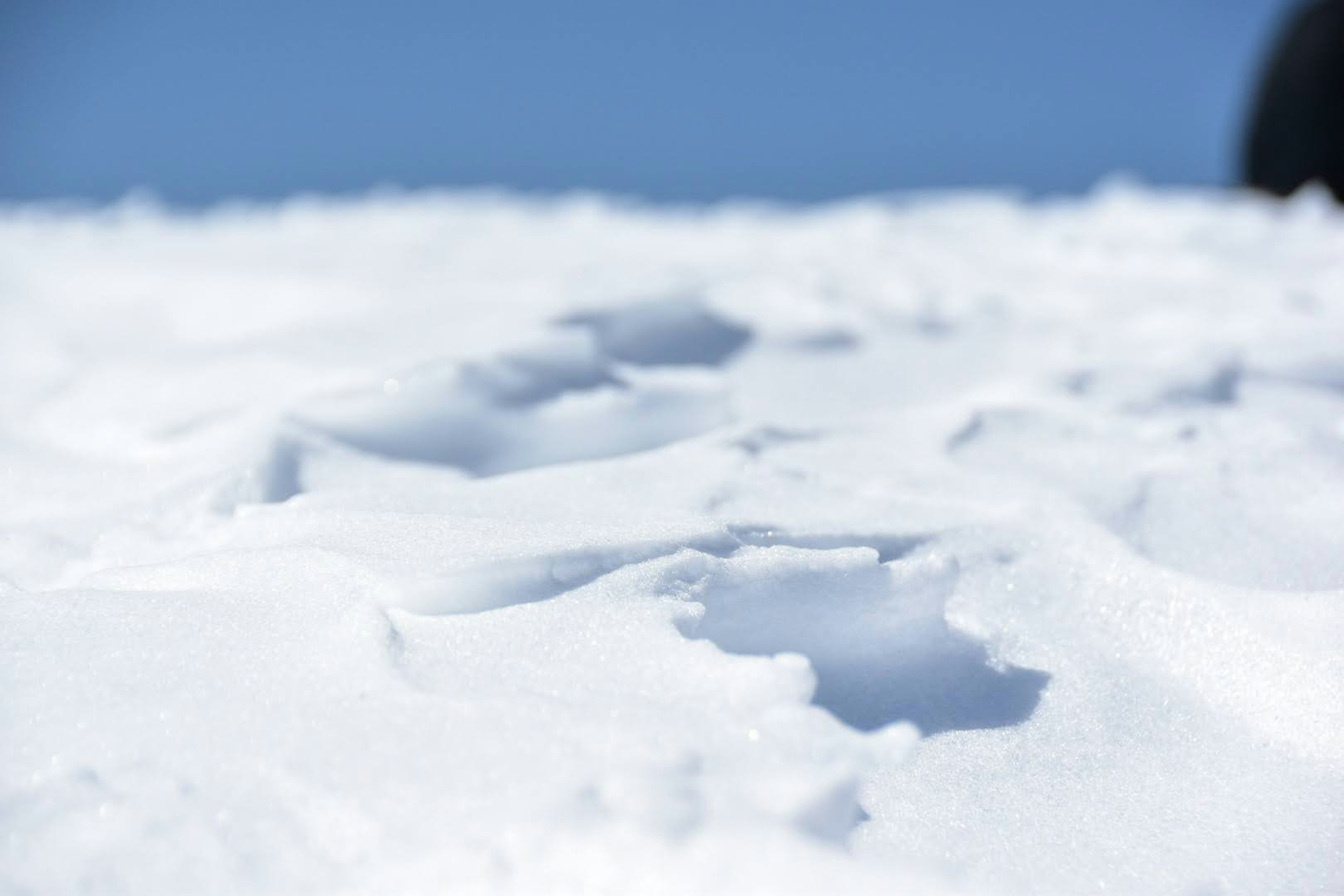 青空の下に広がる雪の表面に残された足跡