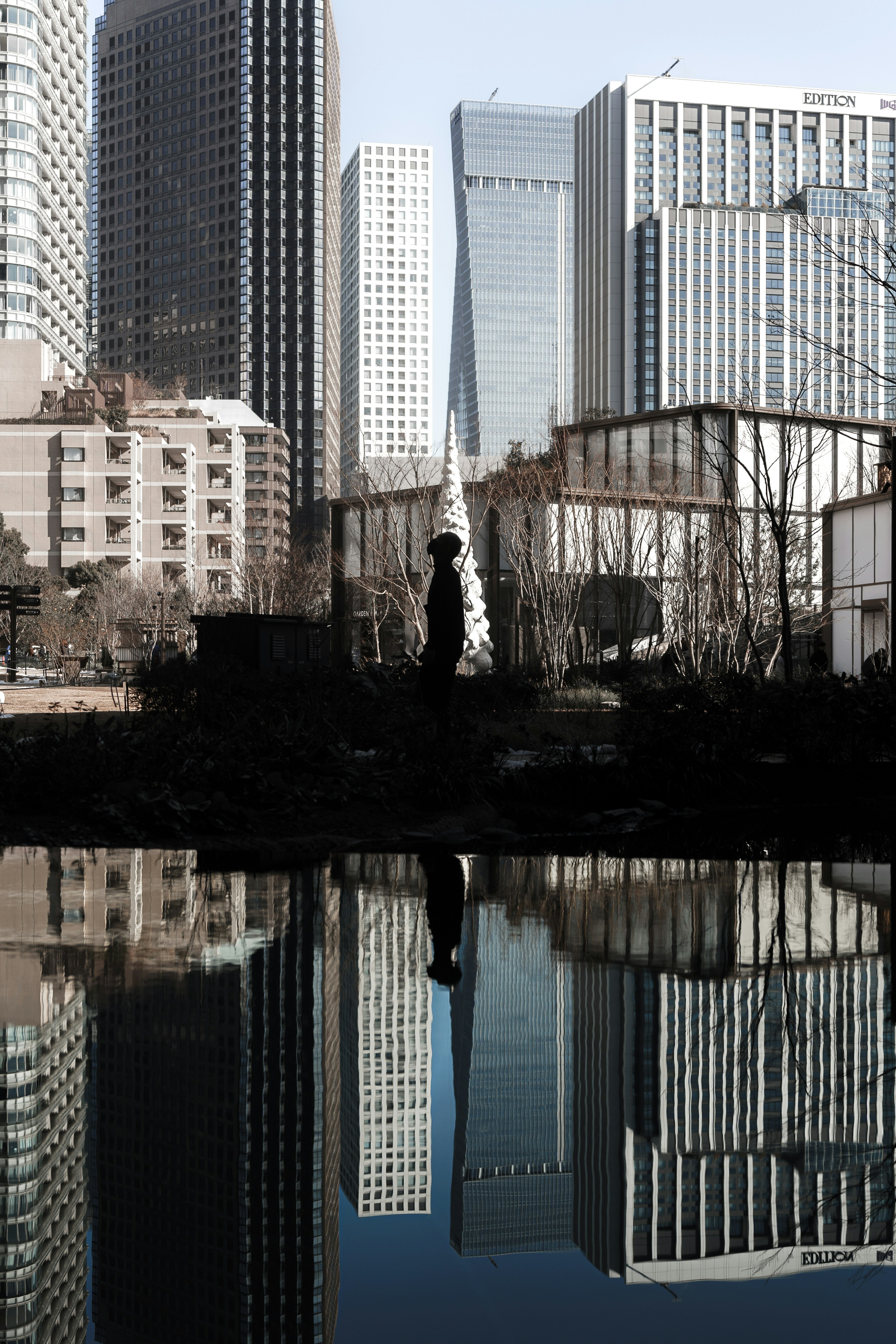 City skyline reflected in a pond with silhouette