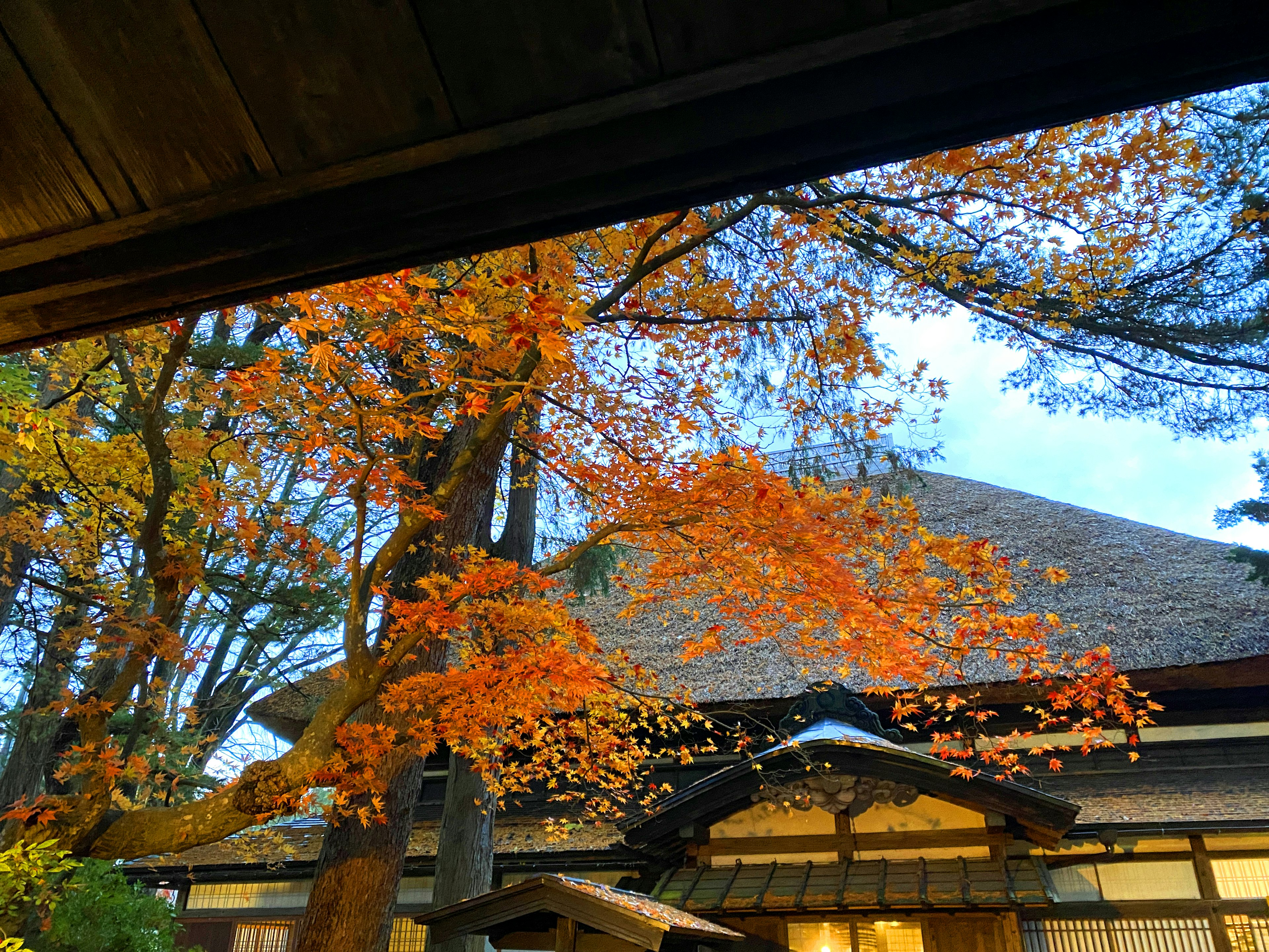 Maison japonaise traditionnelle entourée de feuillage d'automne vibrant