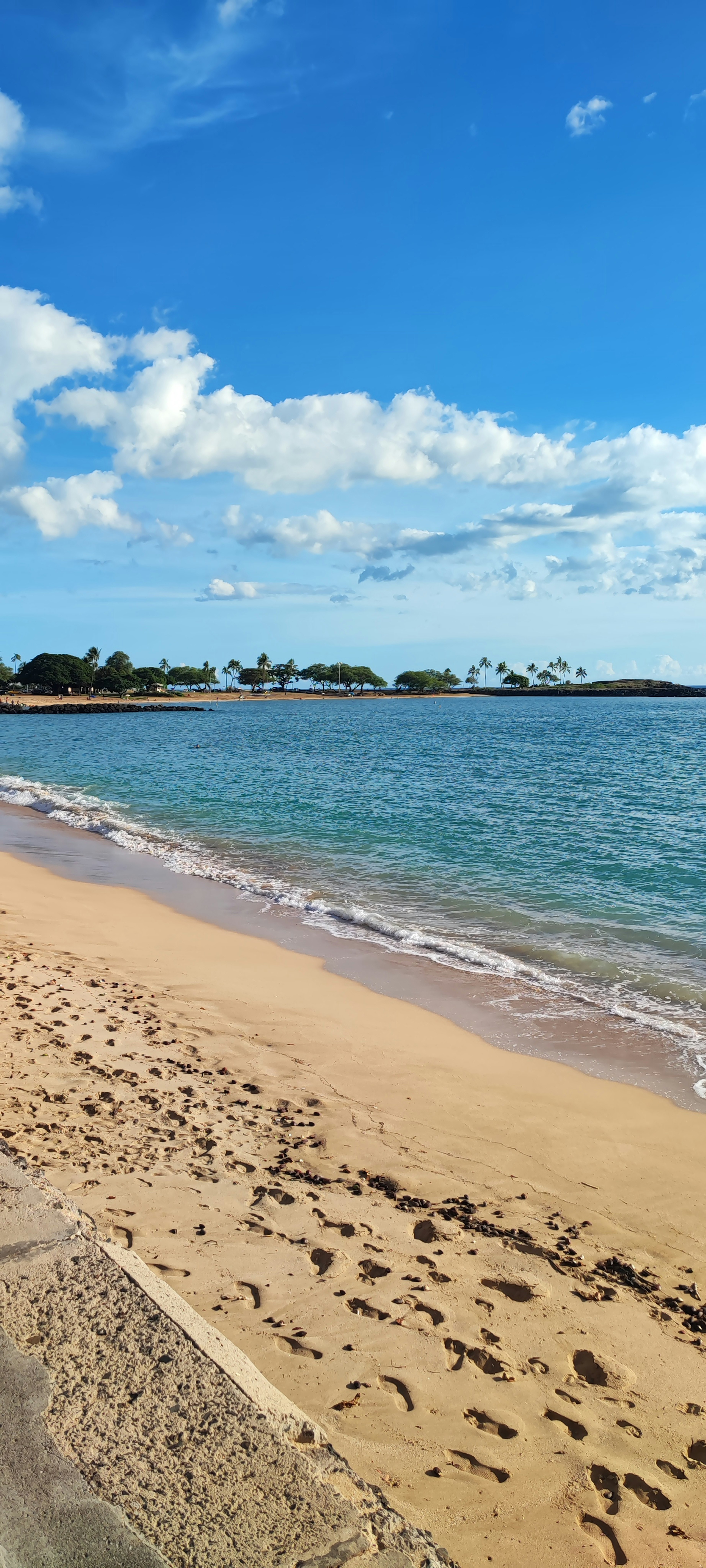 Scène de plage avec ciel bleu et nuages blancs rivage de sable et mer calme