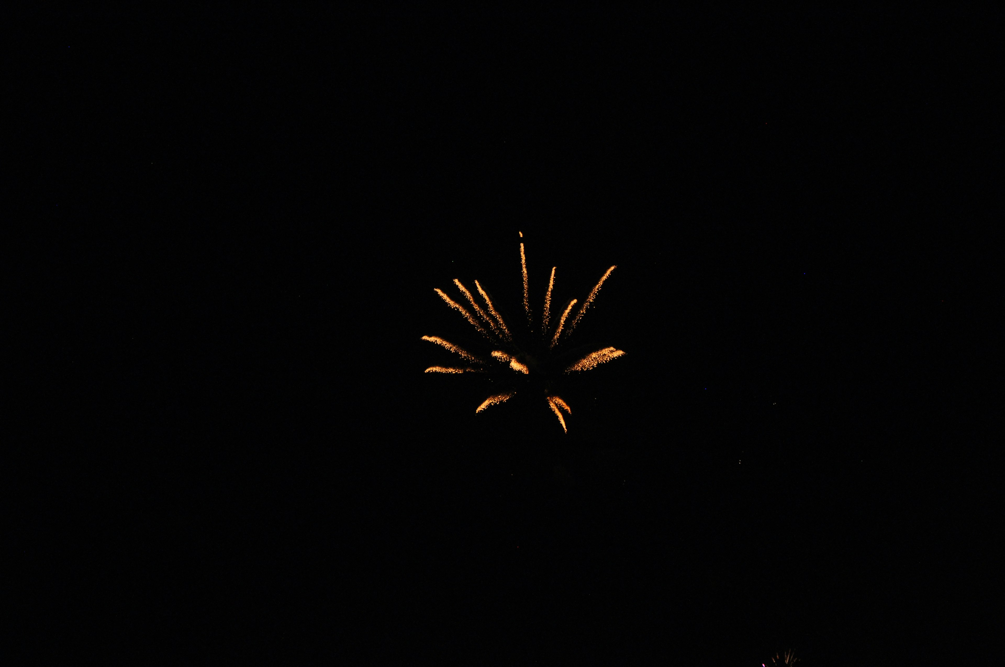 Golden fireworks bursting in a black sky