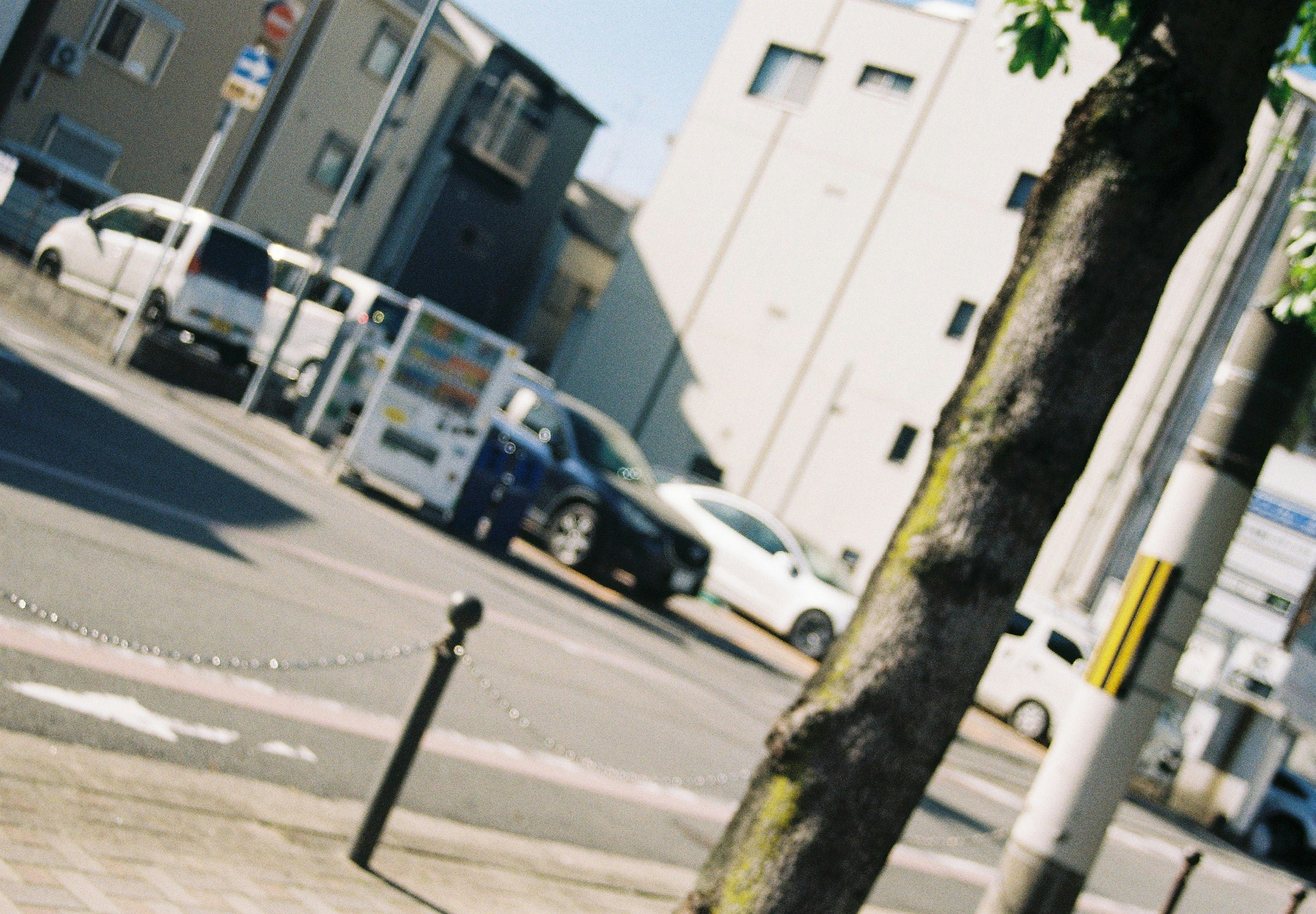 Straßenansicht mit einem Baum und geparkten Autos