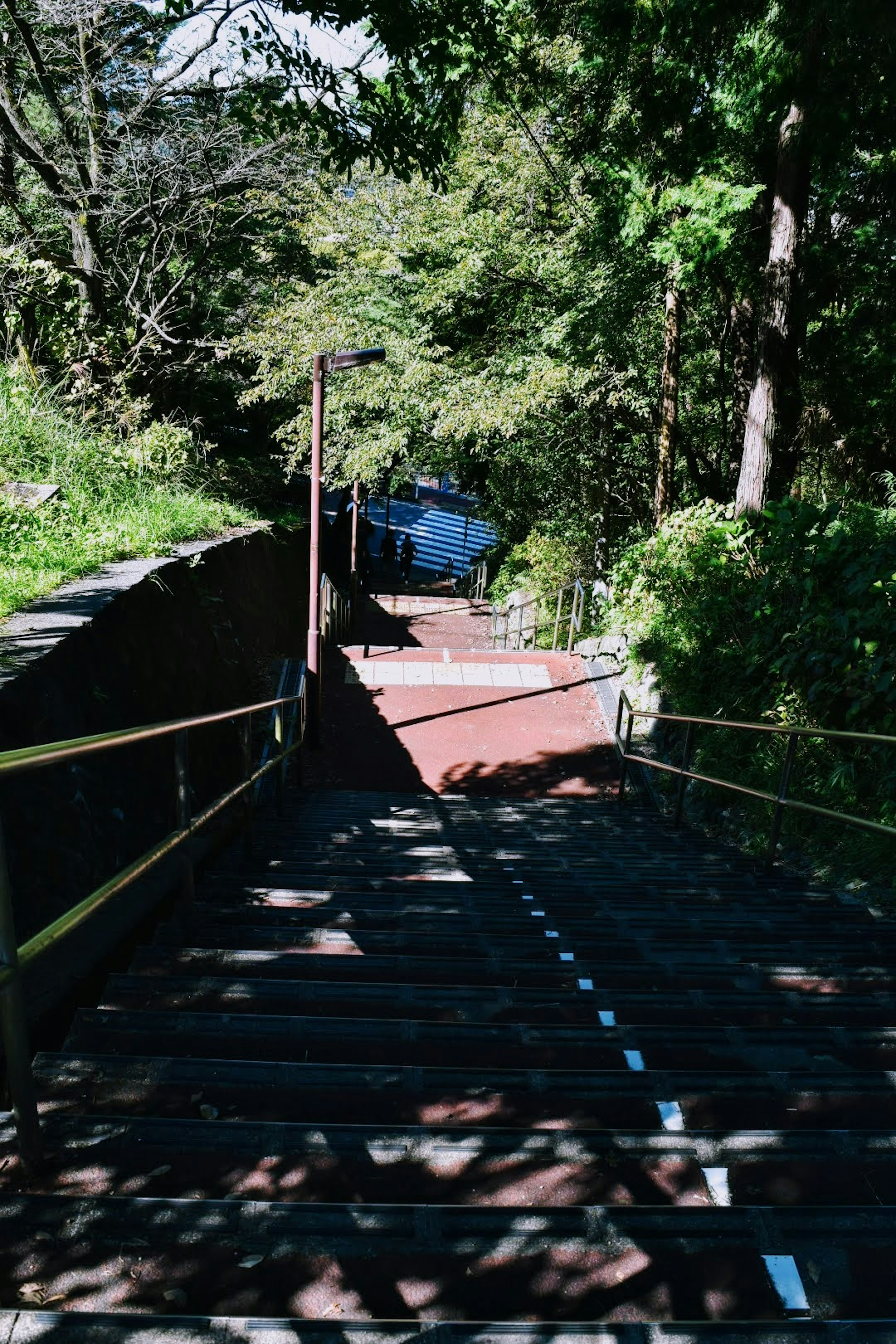 Vue d'un escalier descendant en bois entouré d'arbres et d'ombres