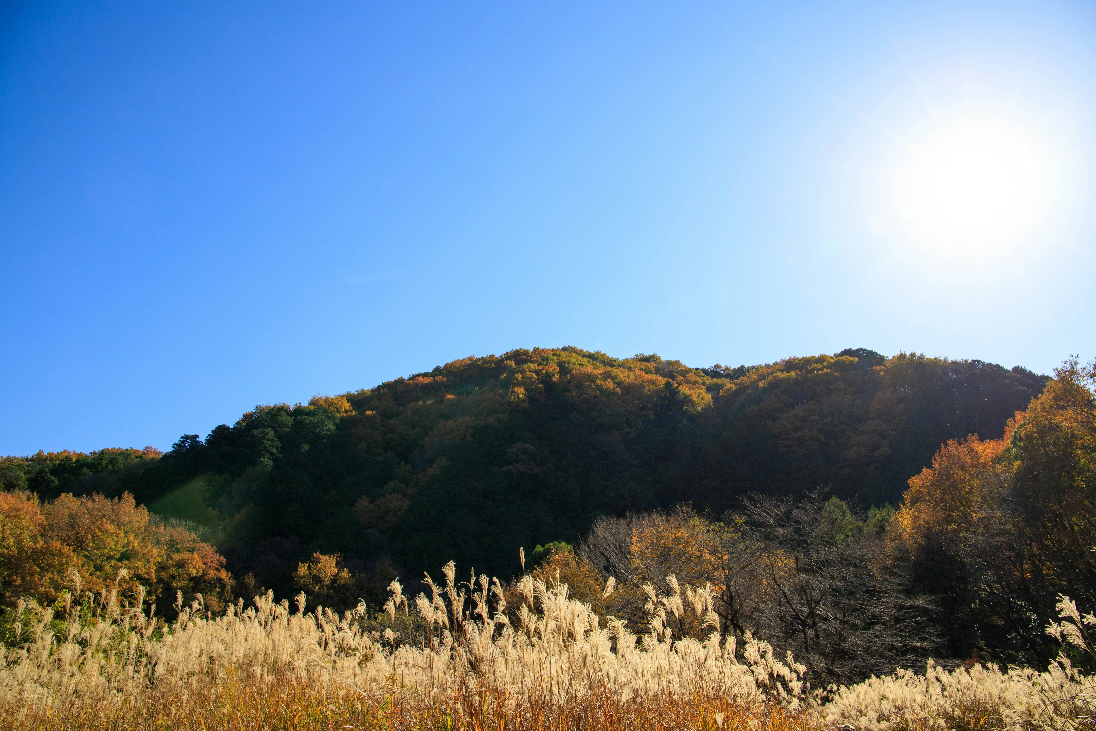 Colinas de otoño y pradera bajo un cielo azul claro y luz solar