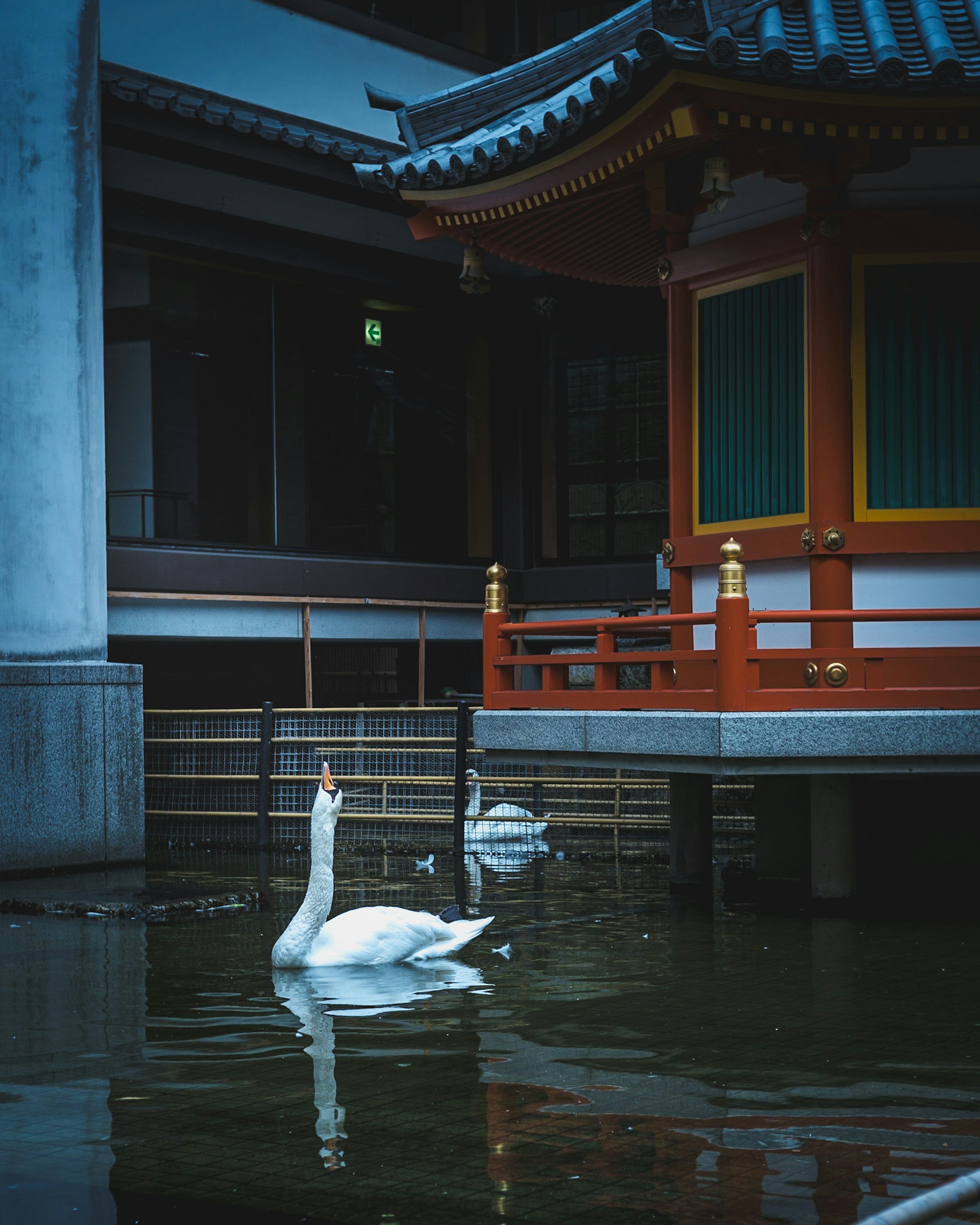 水辺の白鳥と伝統的な建物の景色