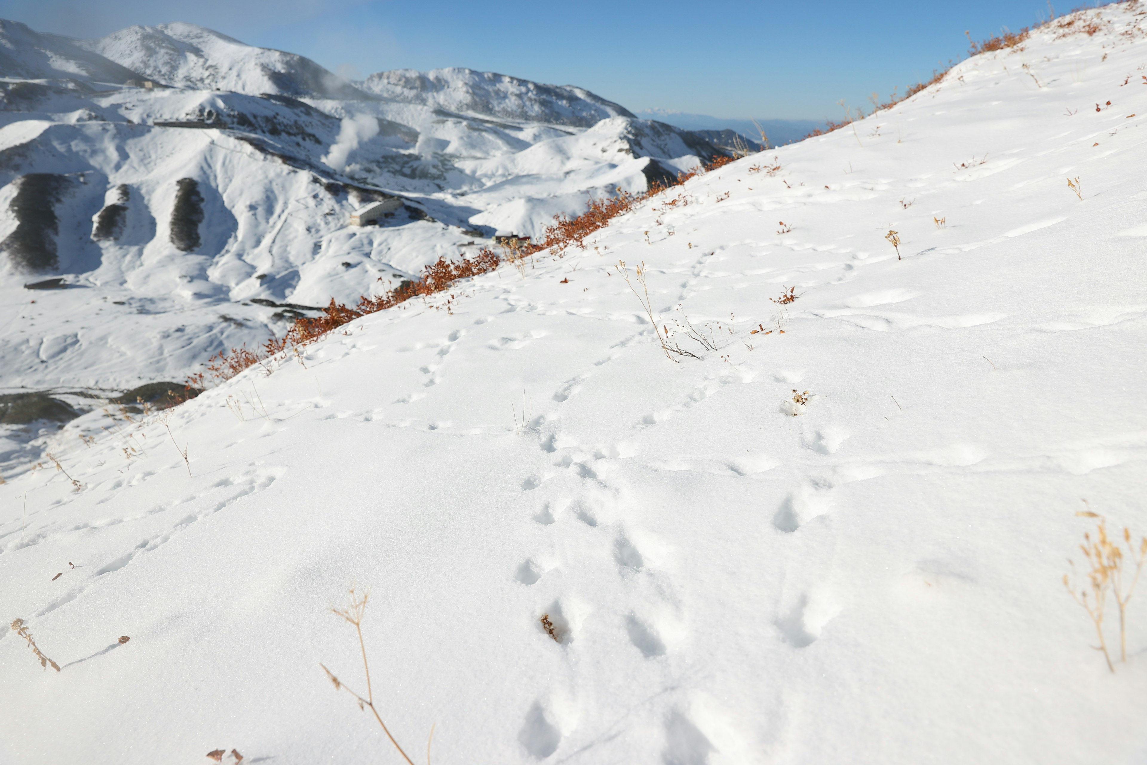 Footprints in the snow on a mountain trail with a scenic backdrop