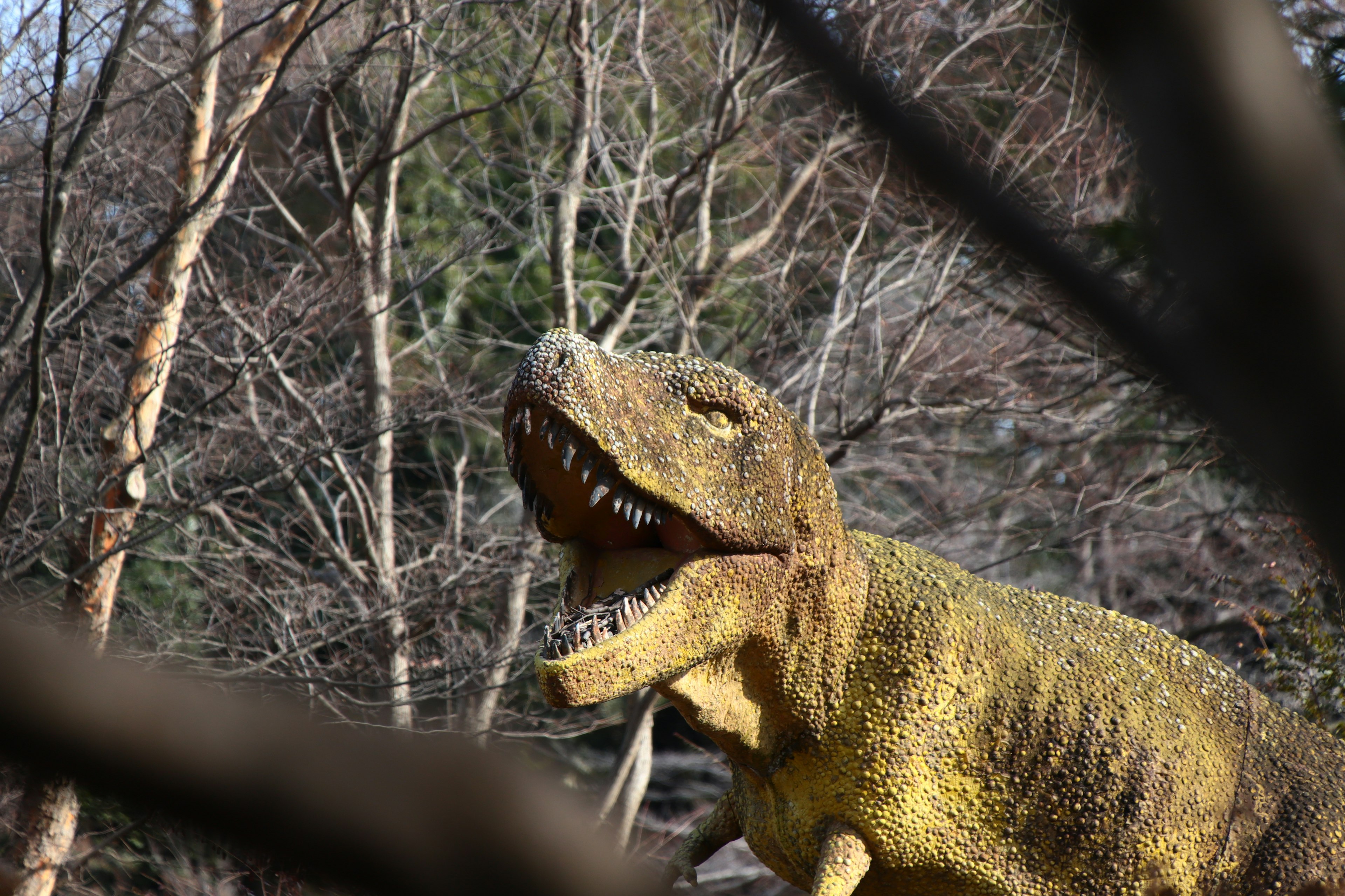 黄色の恐竜の模型が木々の間に立っている