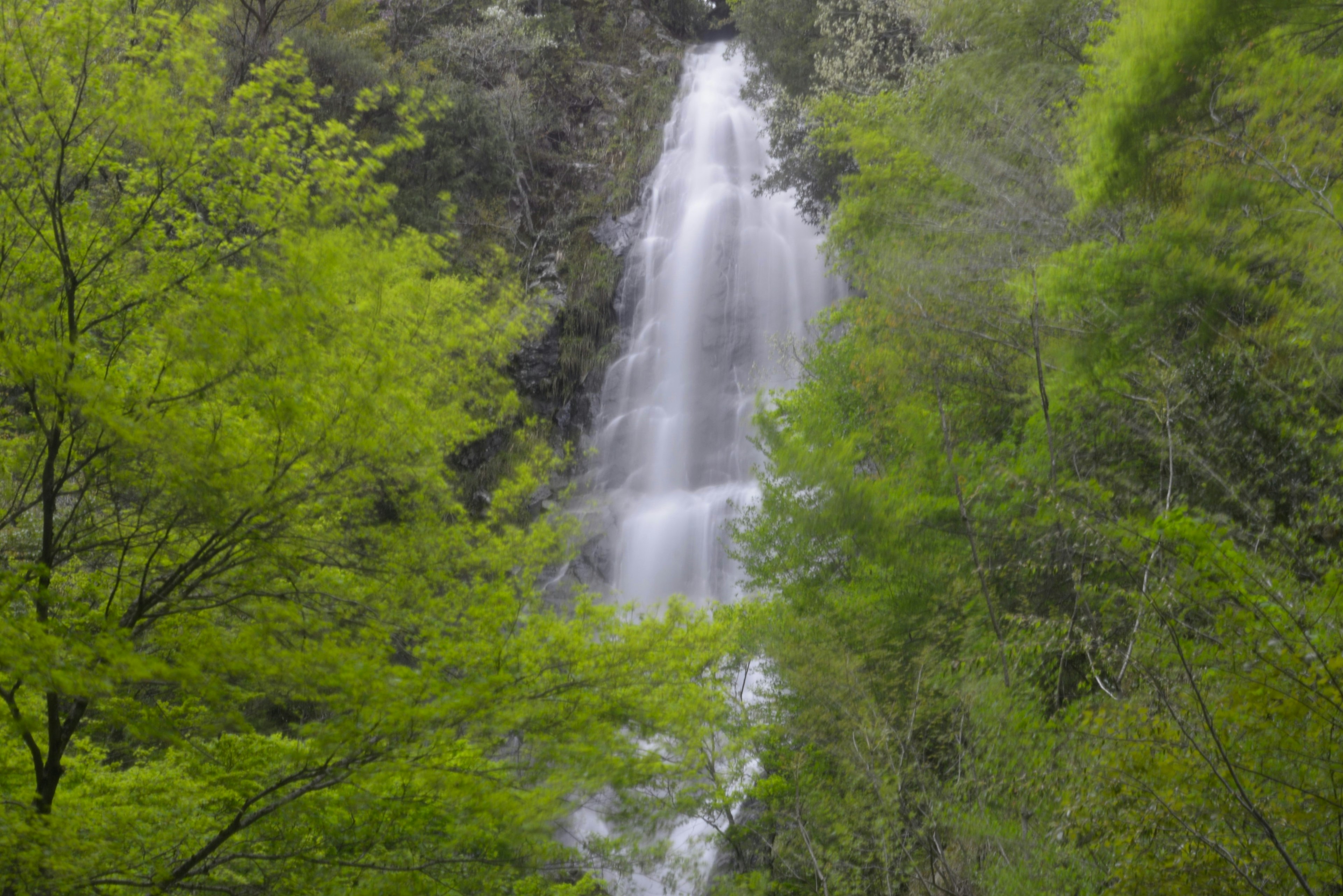 緑の木々に囲まれた美しい滝の風景