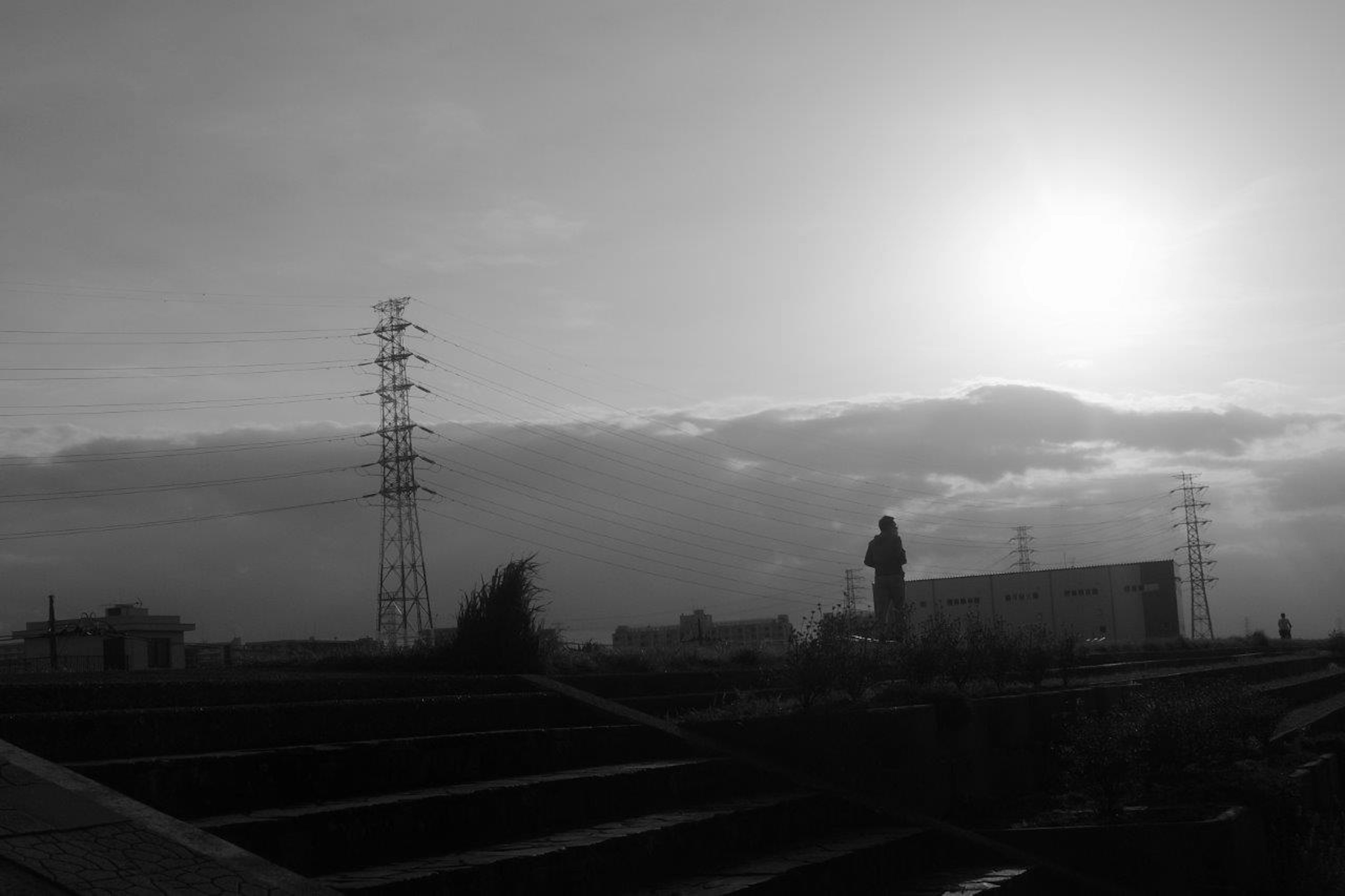 Black and white landscape featuring power lines and buildings