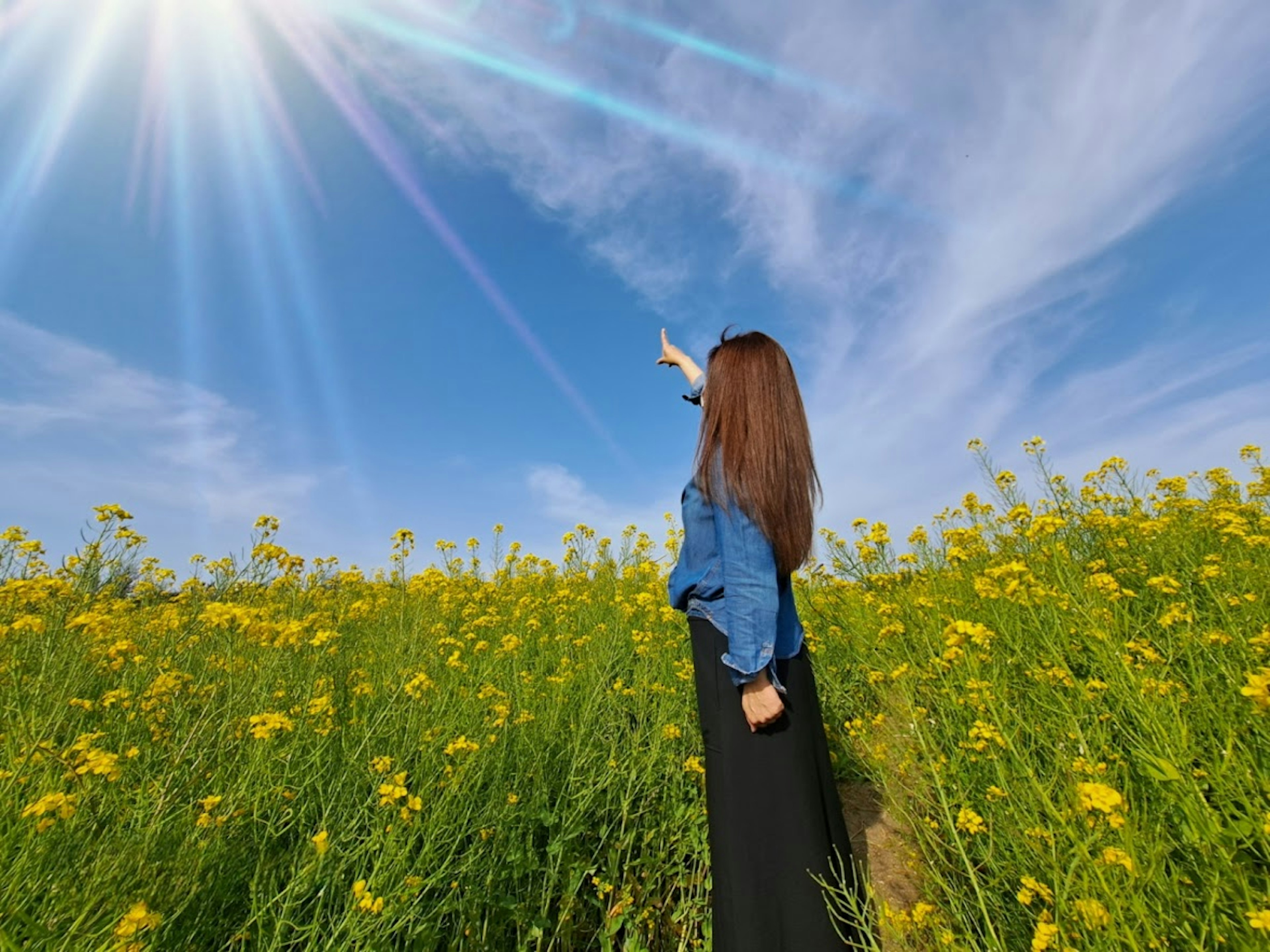 Femme pointant le ciel dans un champ de fleurs sous un soleil éclatant