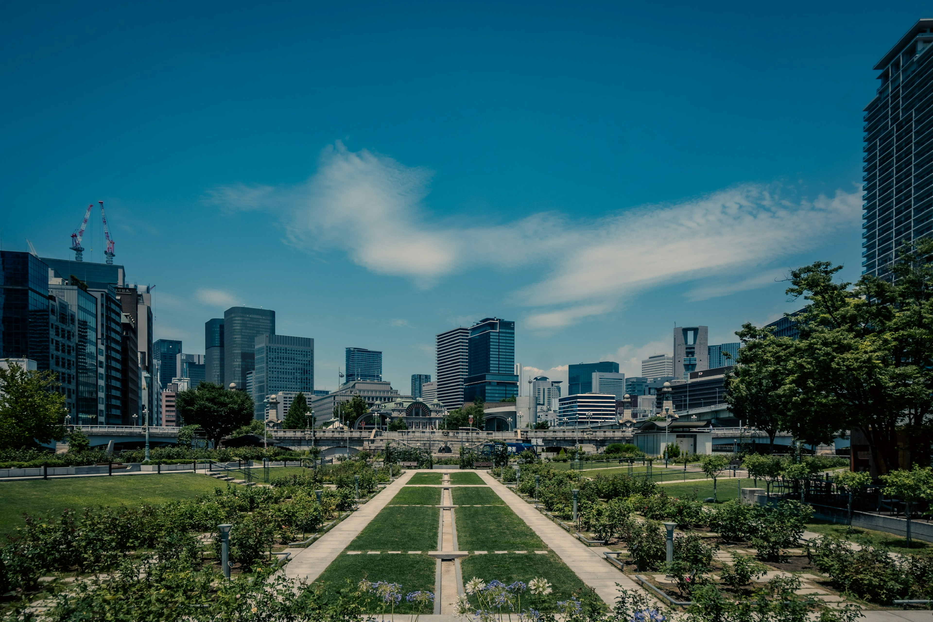 Parco urbano con vegetazione e grattacieli contro un cielo blu