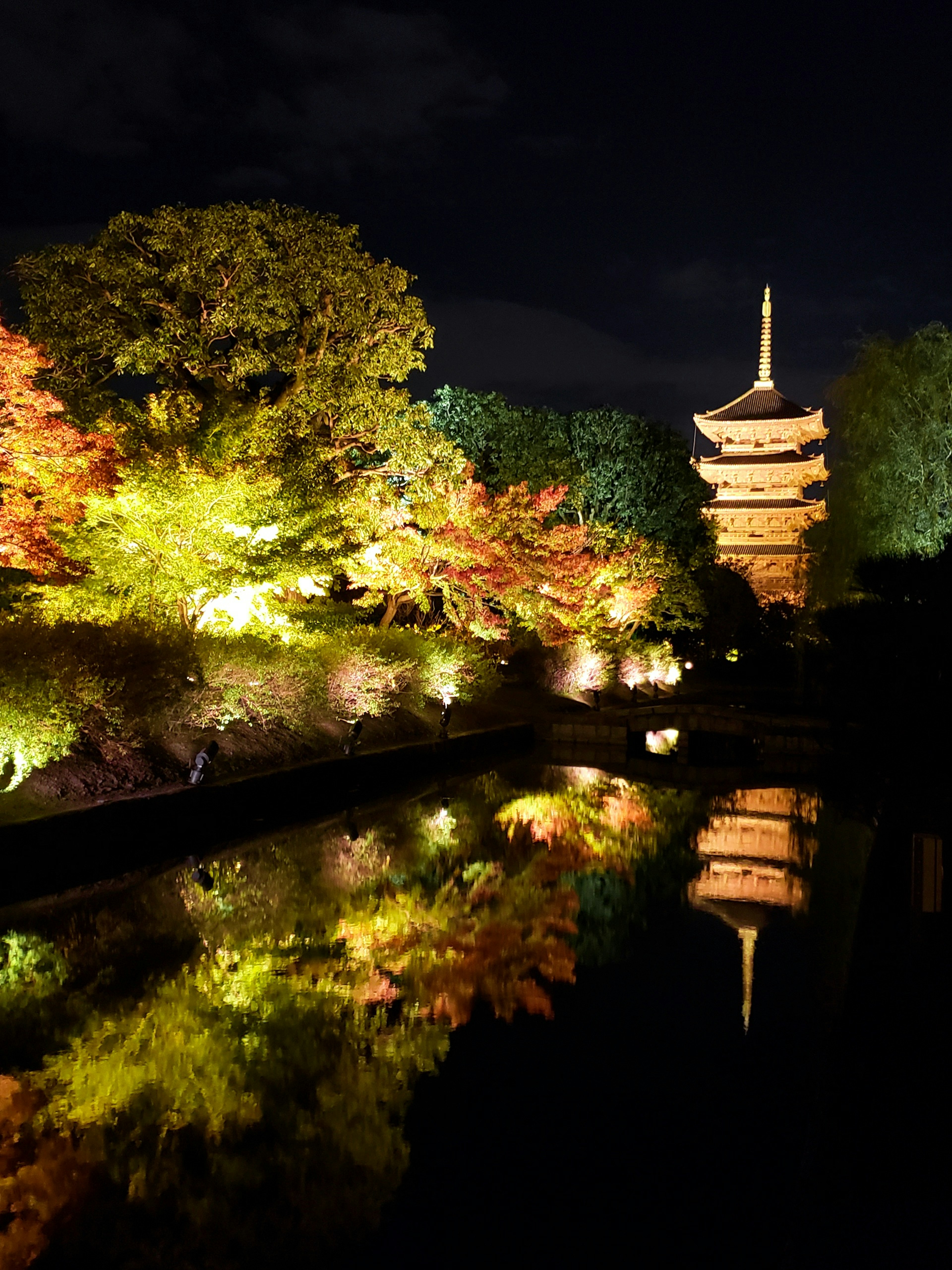 Hermosa vista de una pagoda iluminada por la noche reflejada en un estanque con hojas de otoño