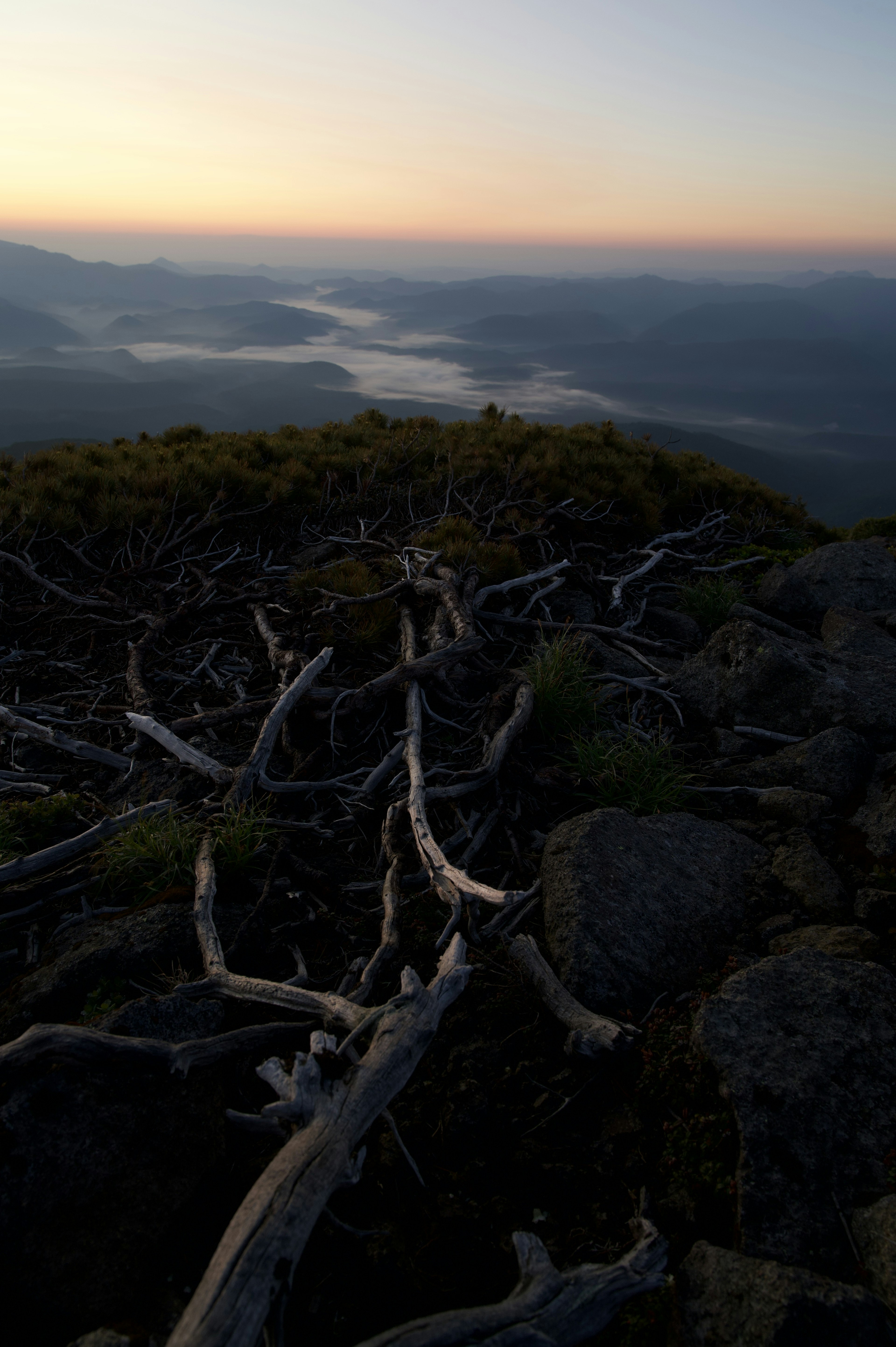 夕暮れ時の山頂からの風景で枯れた木の枝と岩が目立つ