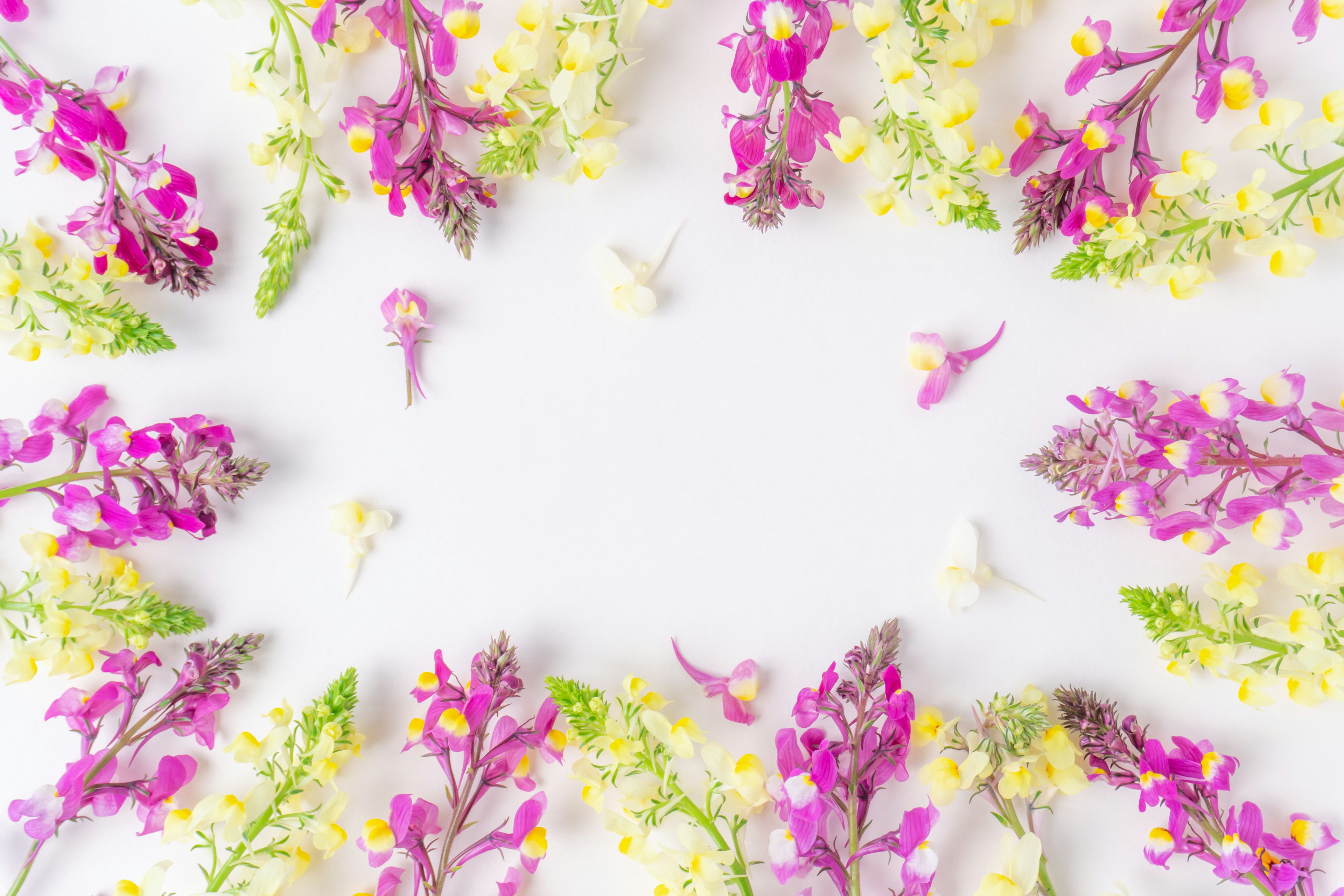 Bellissimo arrangiamento floreale con fiori colorati su uno sfondo bianco